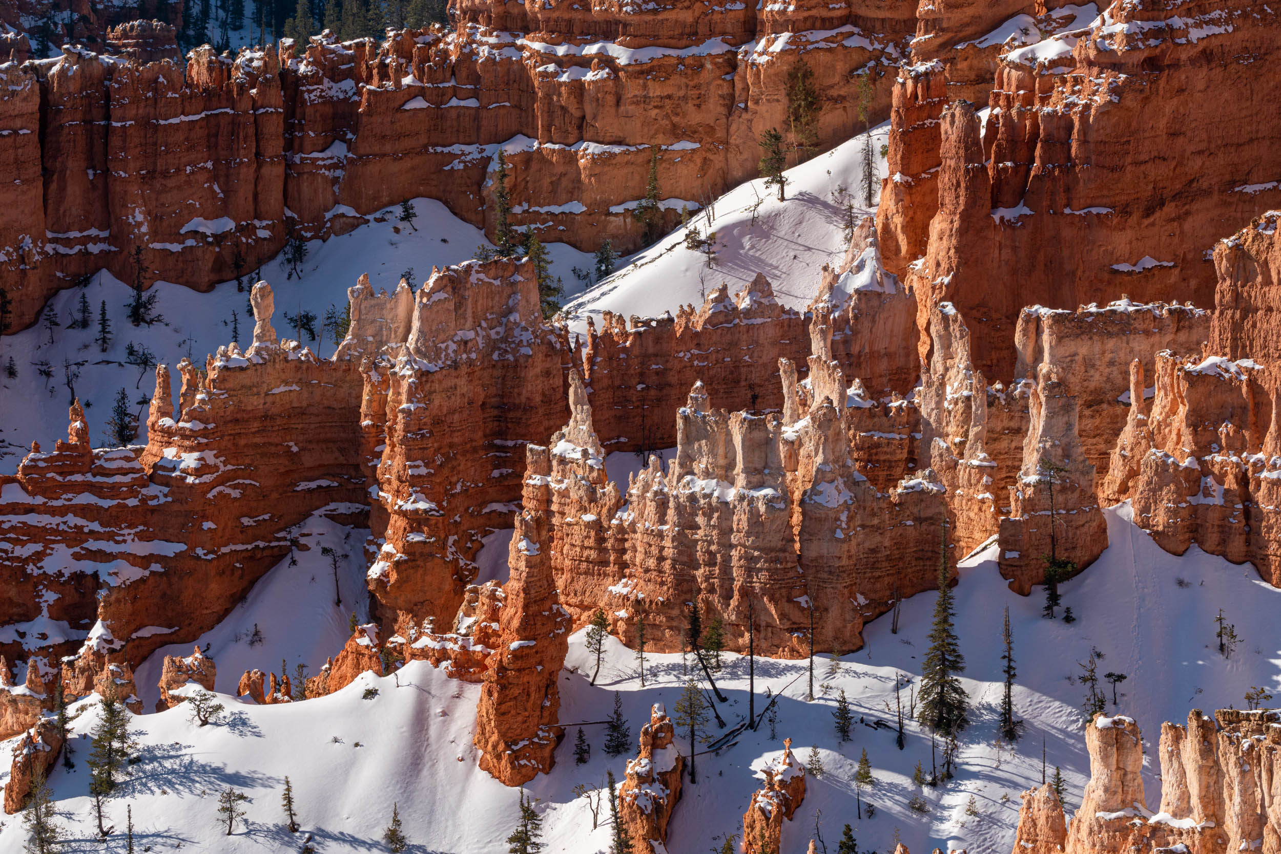 Alfredo Mora Photography Utah-51.jpg