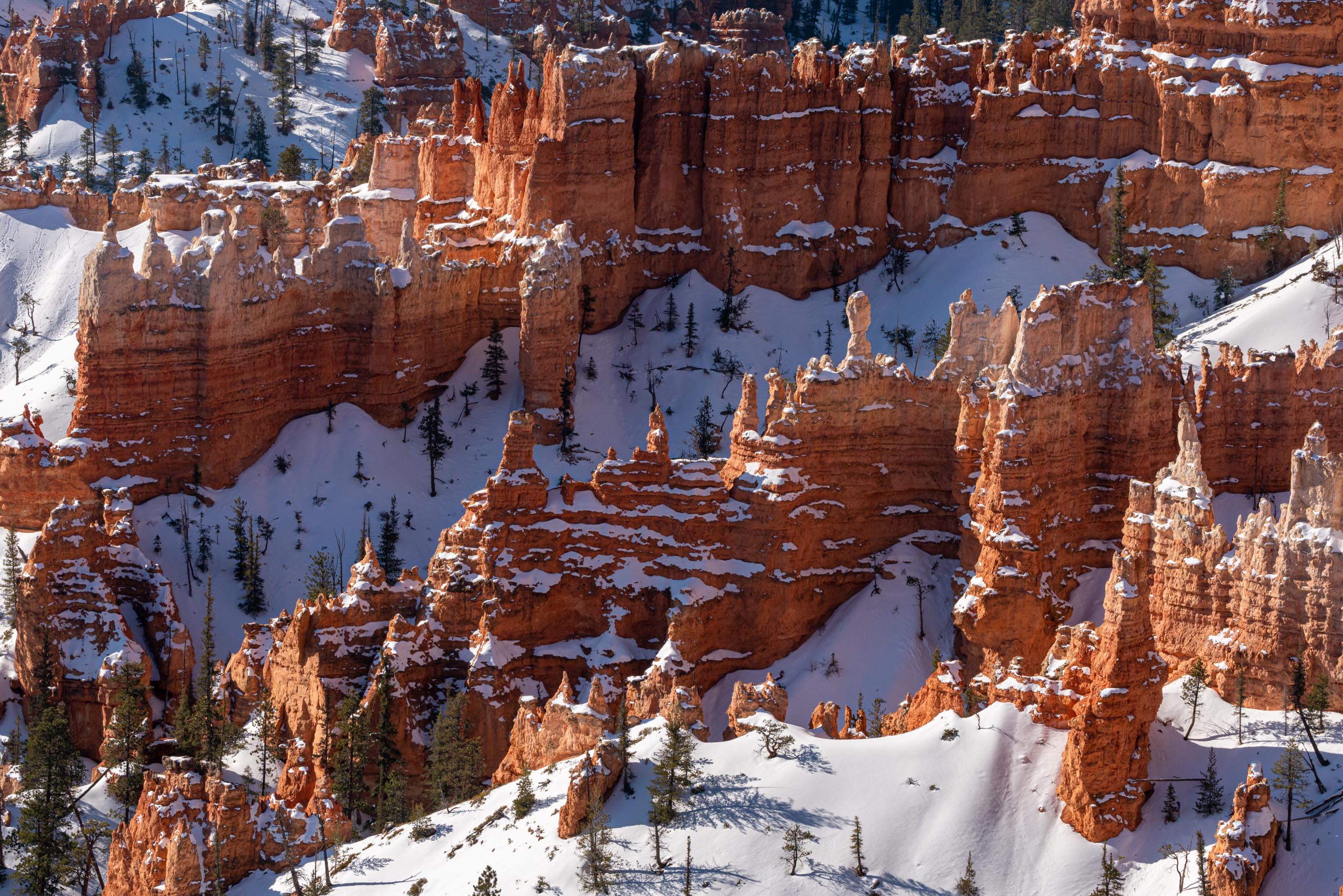 Alfredo Mora Photography Utah-50.jpg