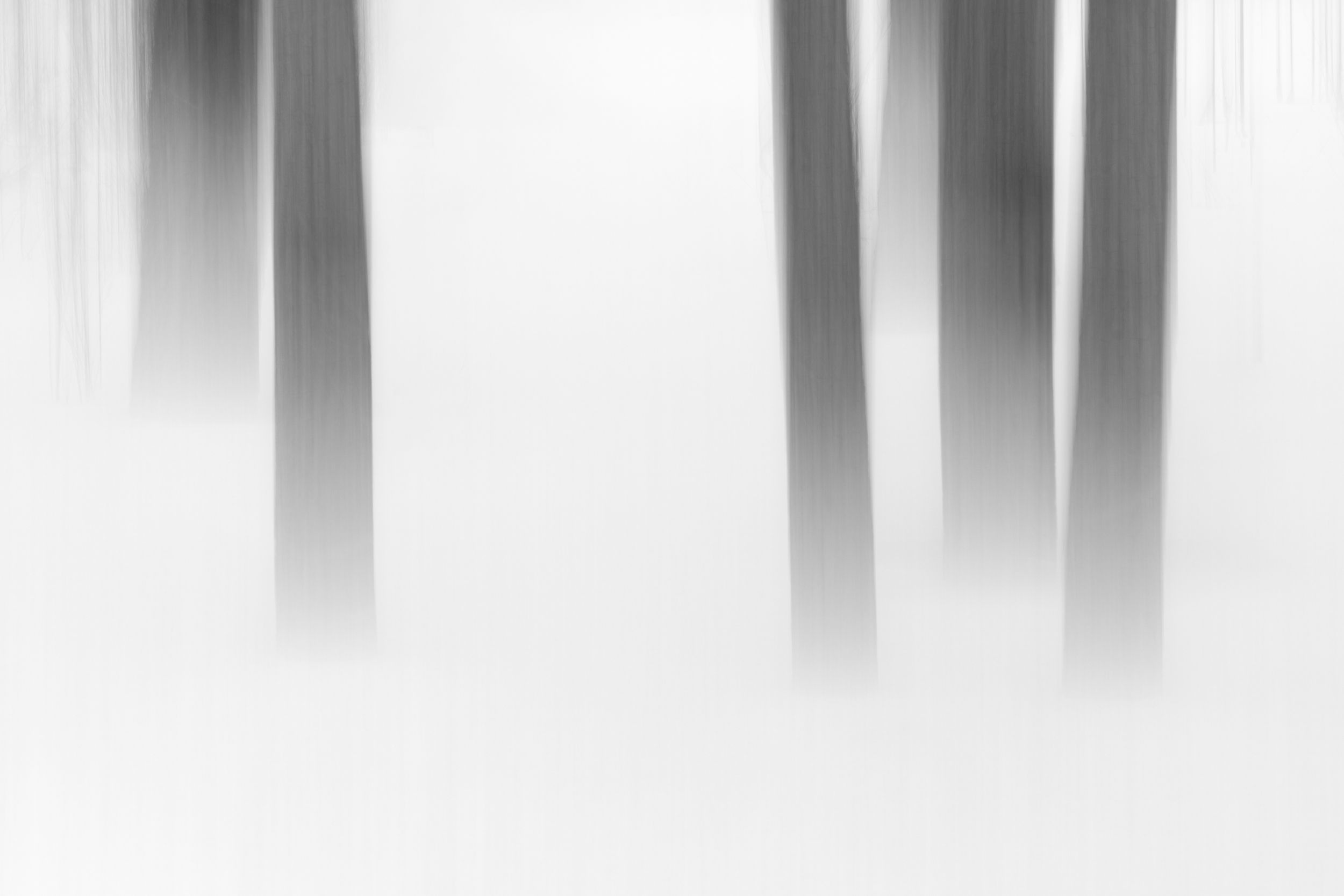 Whispers 2.JPG
