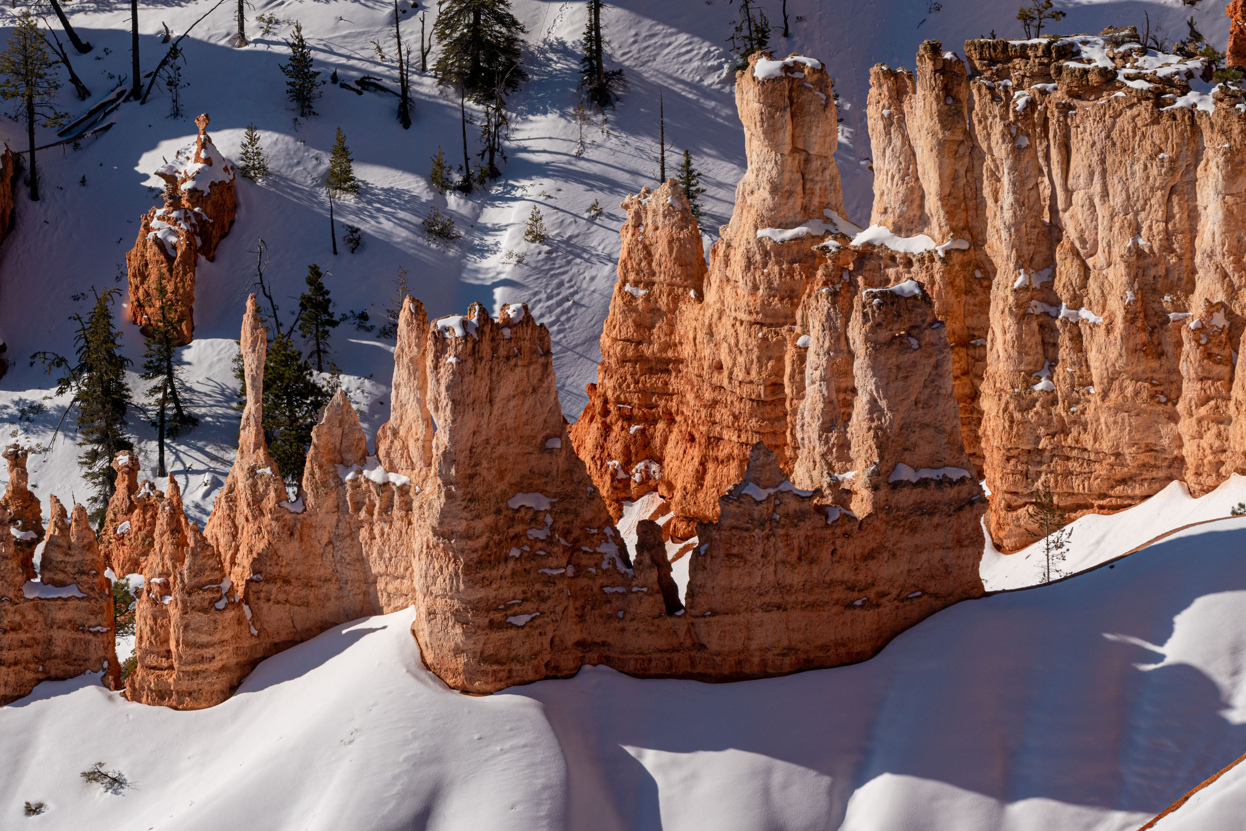 Alfredo Mora Photography Utah-52.jpg