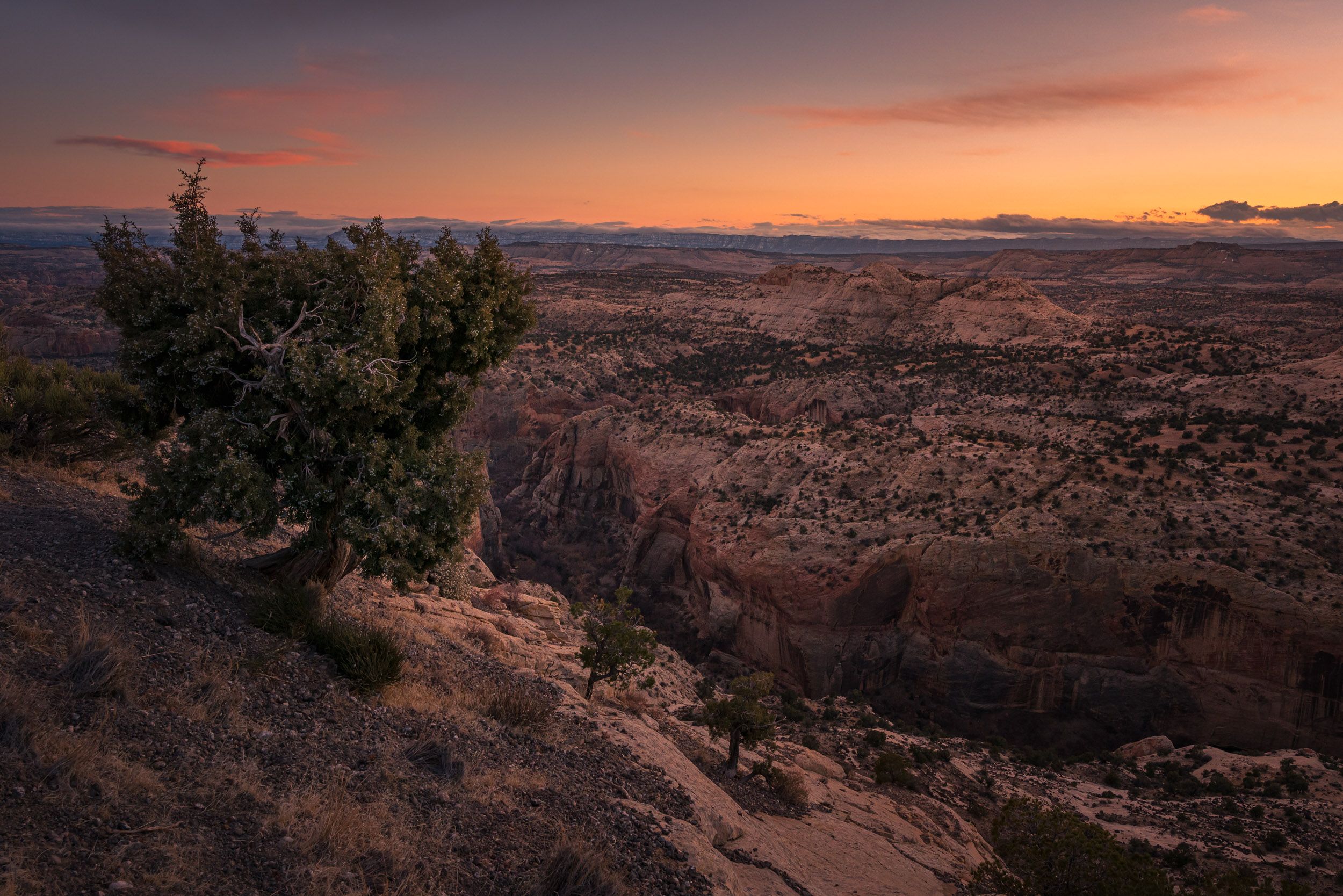 Alfredo Mora Photography Utah-20.jpg