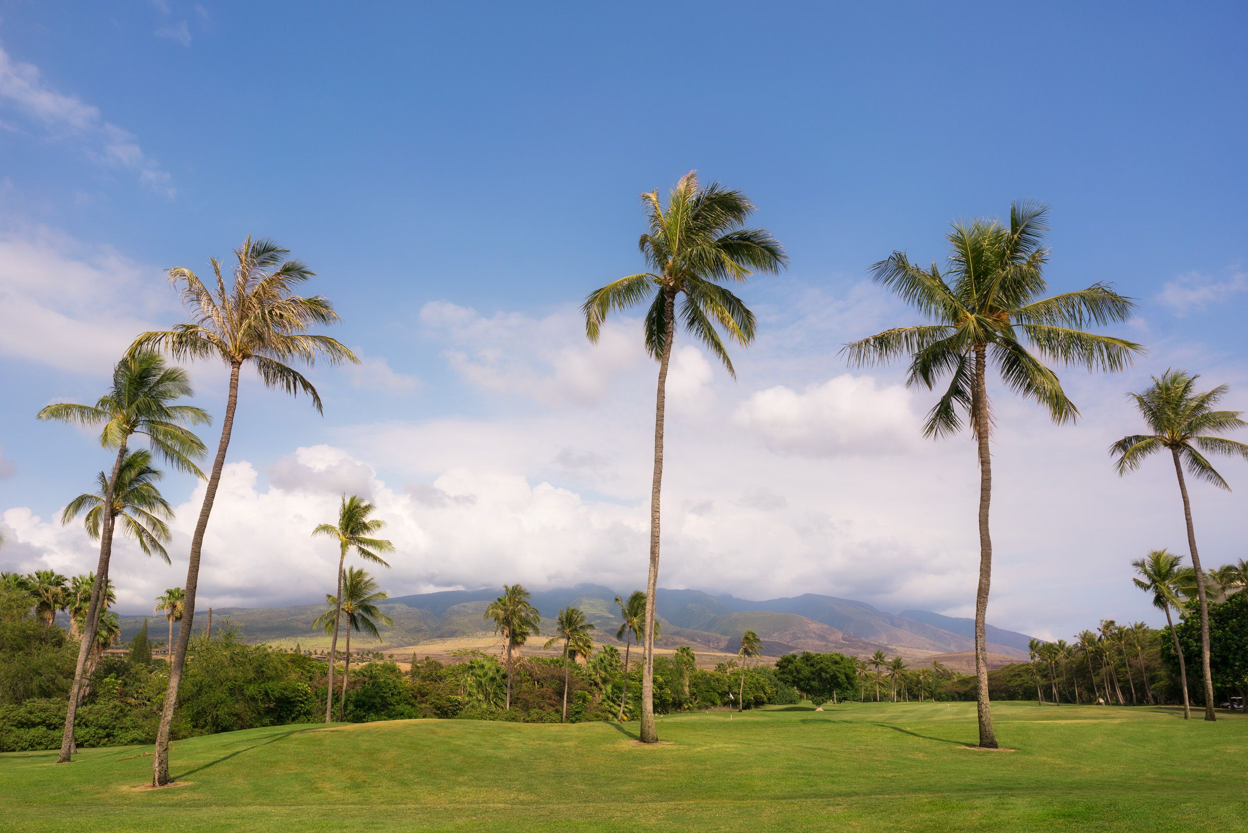 Alfredo Mora Photography PeakD Maui-11.jpg