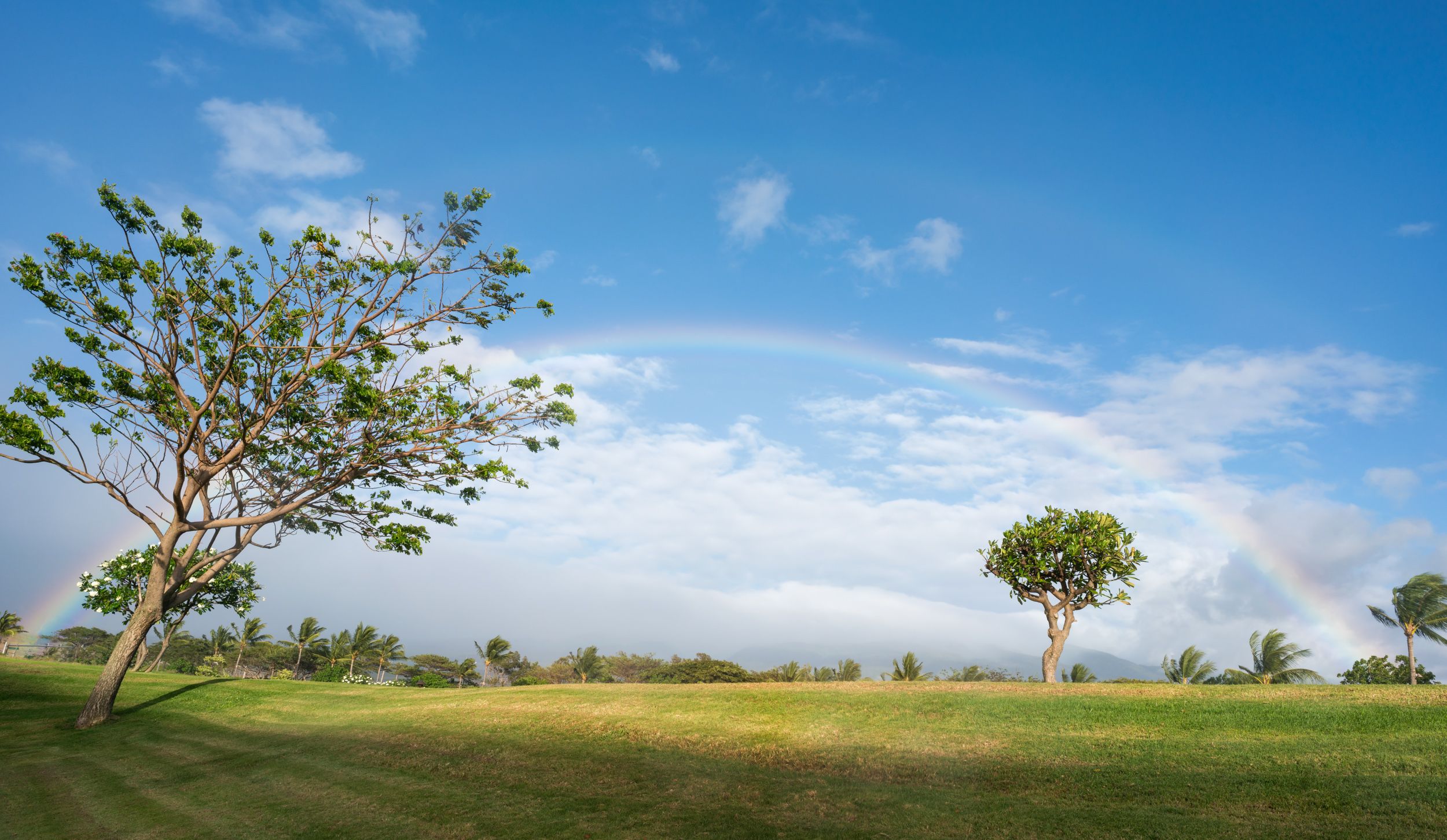 Alfredo Mora Photography PeakD Maui-6.jpg
