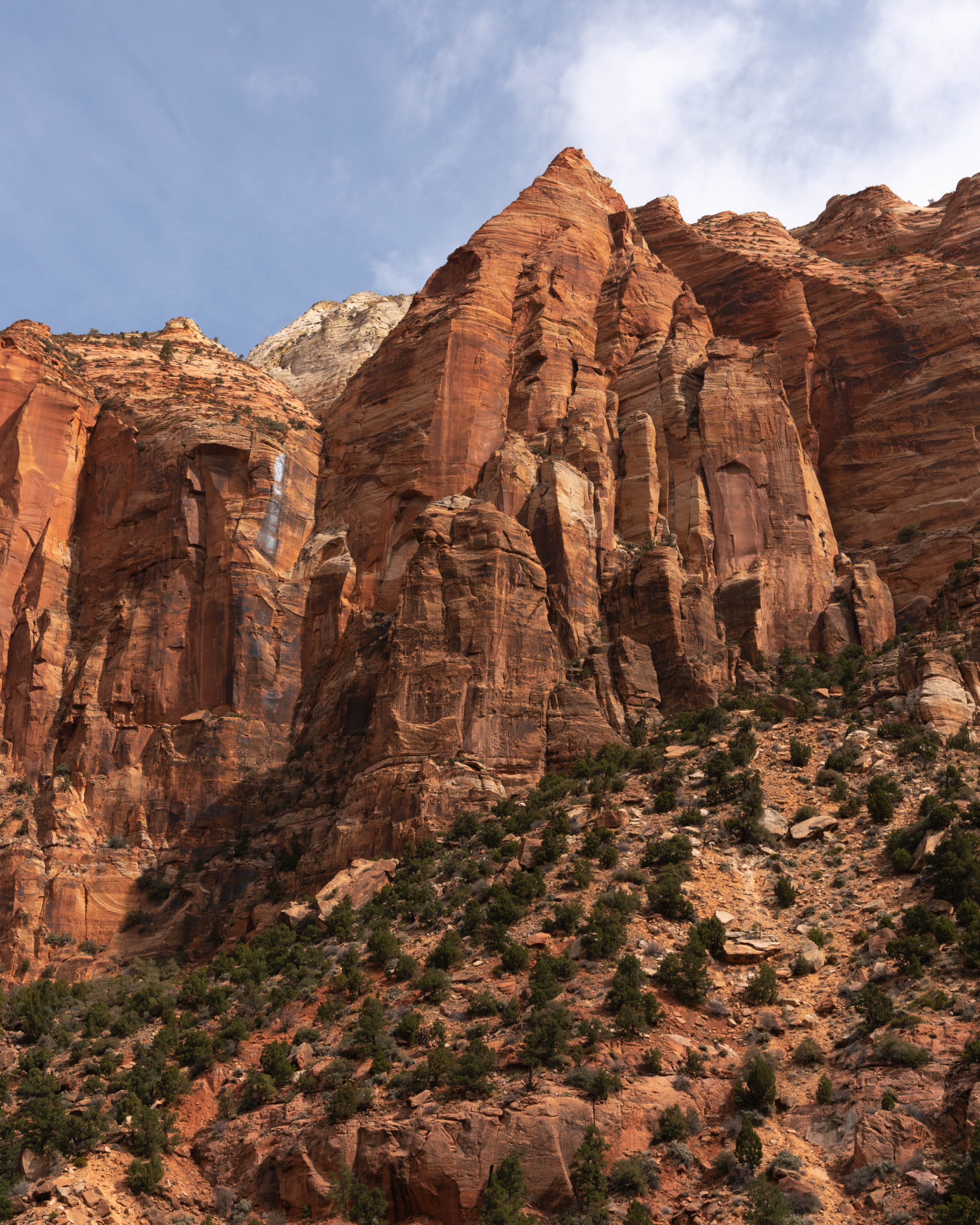 Alfredo Mora Photography Utah-30-5.jpg