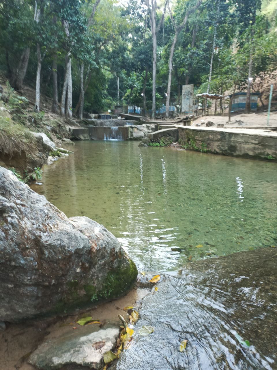 5b.jpg