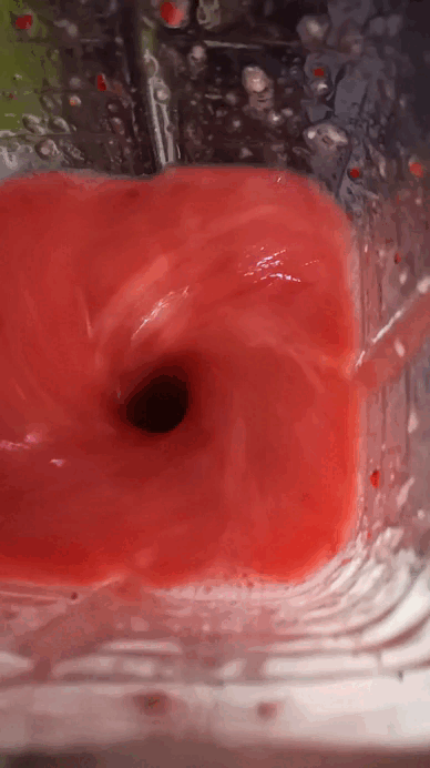 Gif.gif
