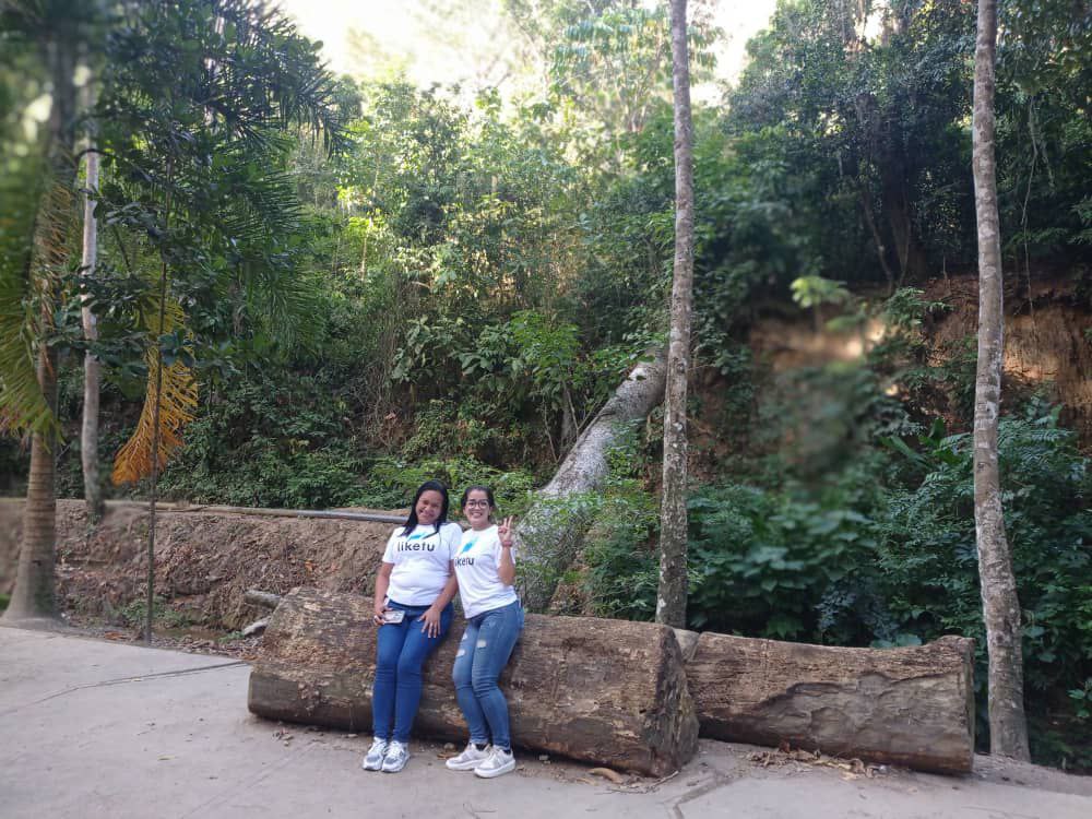 8b.jpg