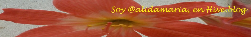 mi nombre en separador2.jpg