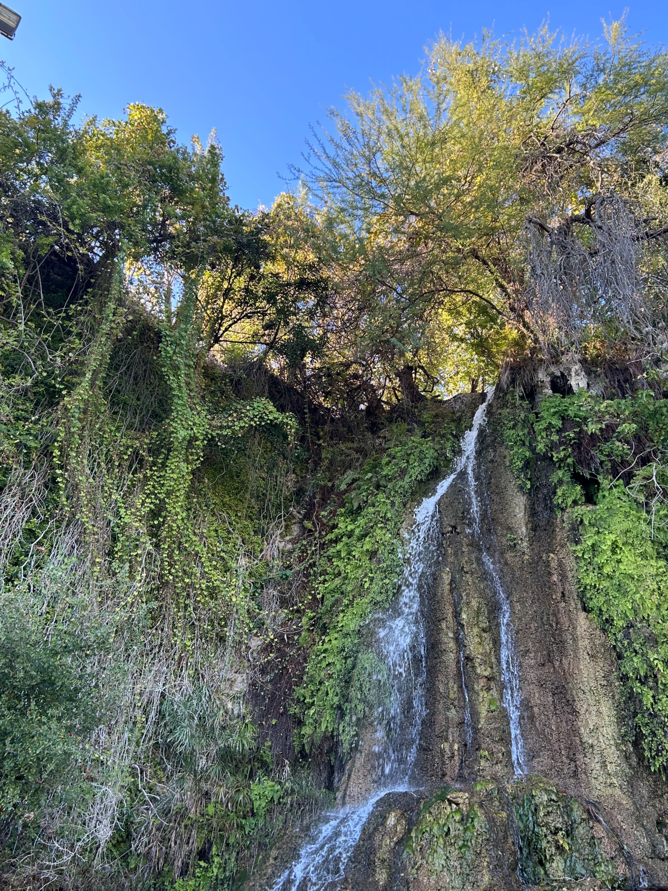 IMG_3370.jpeg