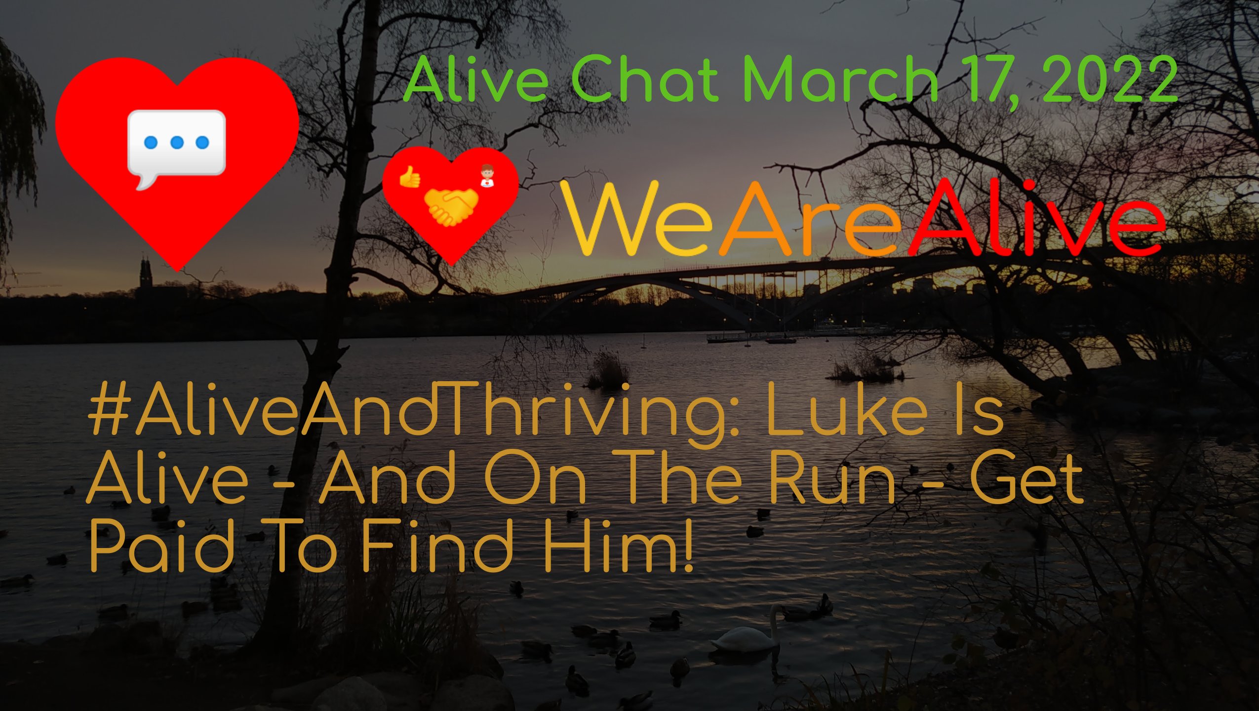 alivechat_1_original.jpg