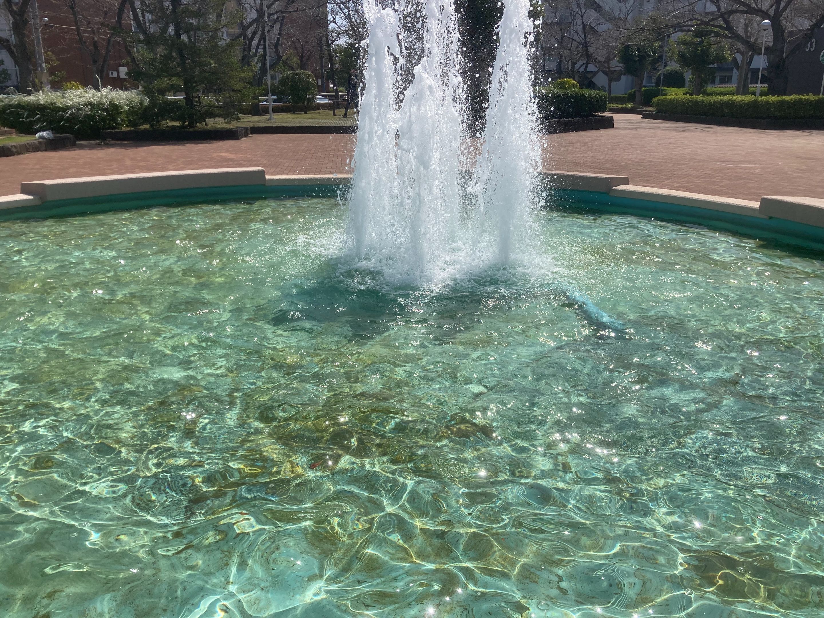 IMG_2597.jpeg