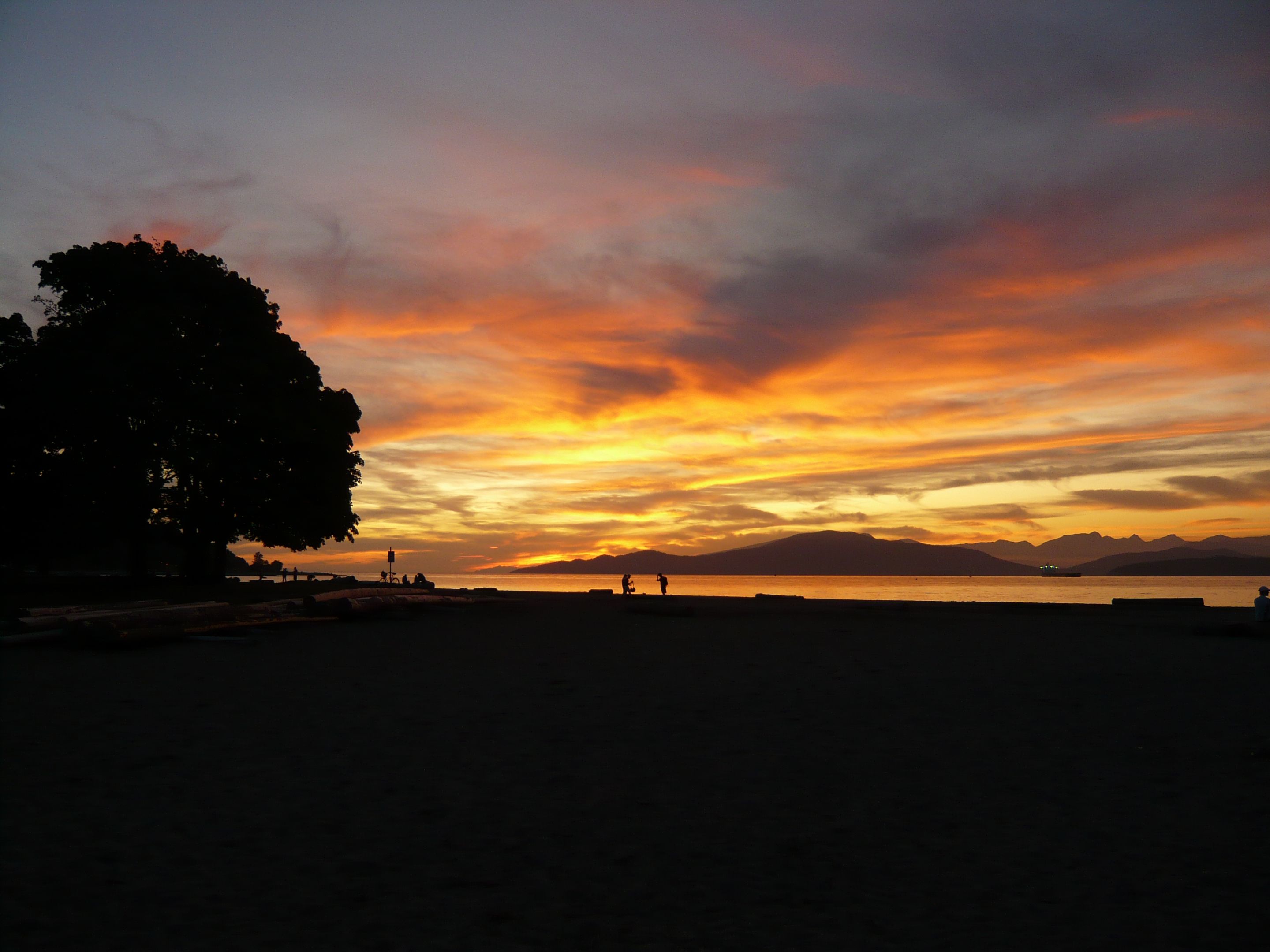 P1000384.JPG