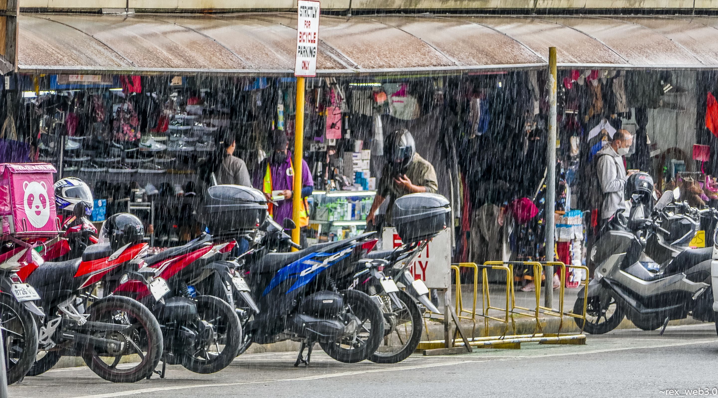P1160978-2.jpg