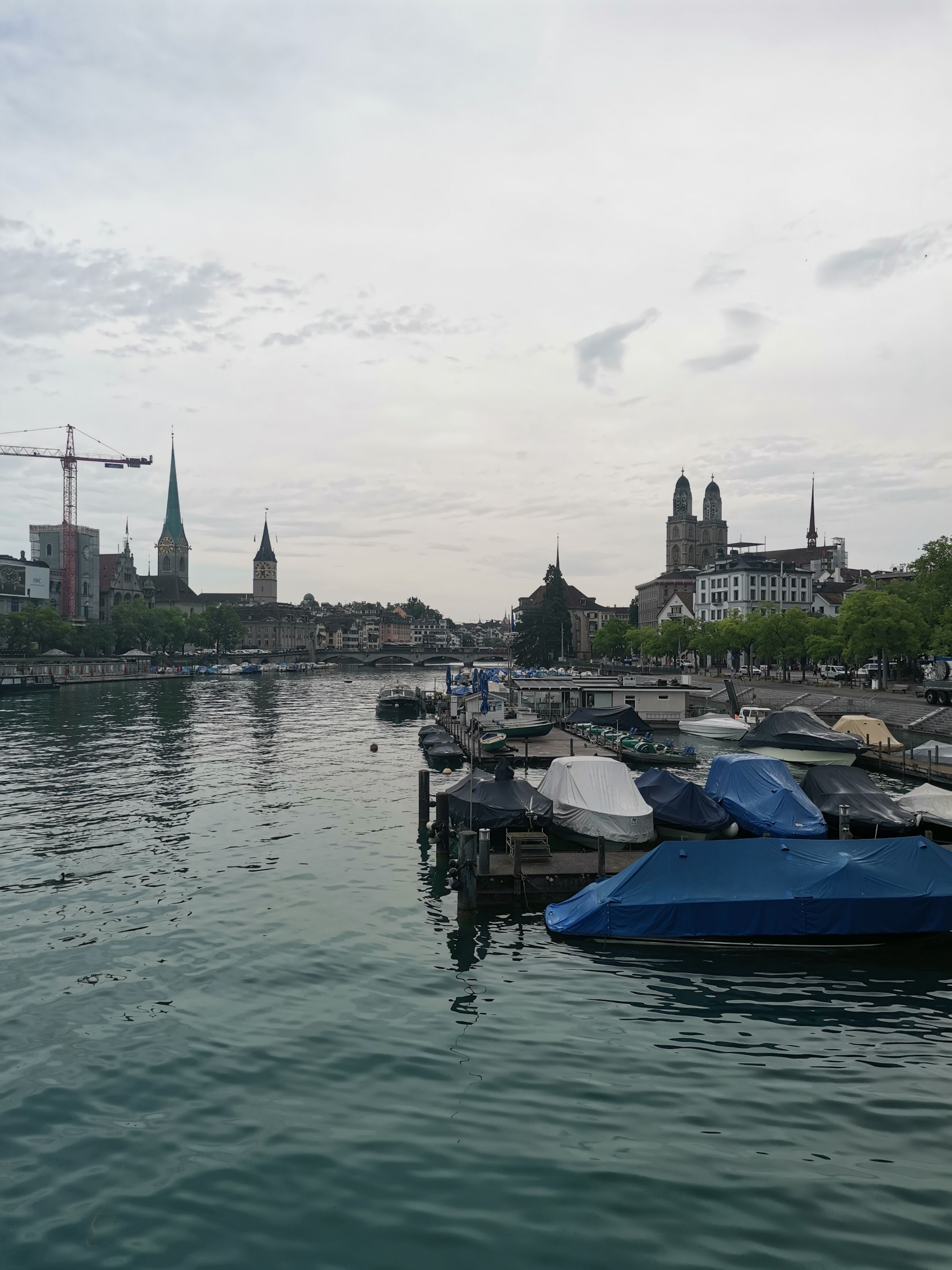 IMG_20250626_091533.jpg
