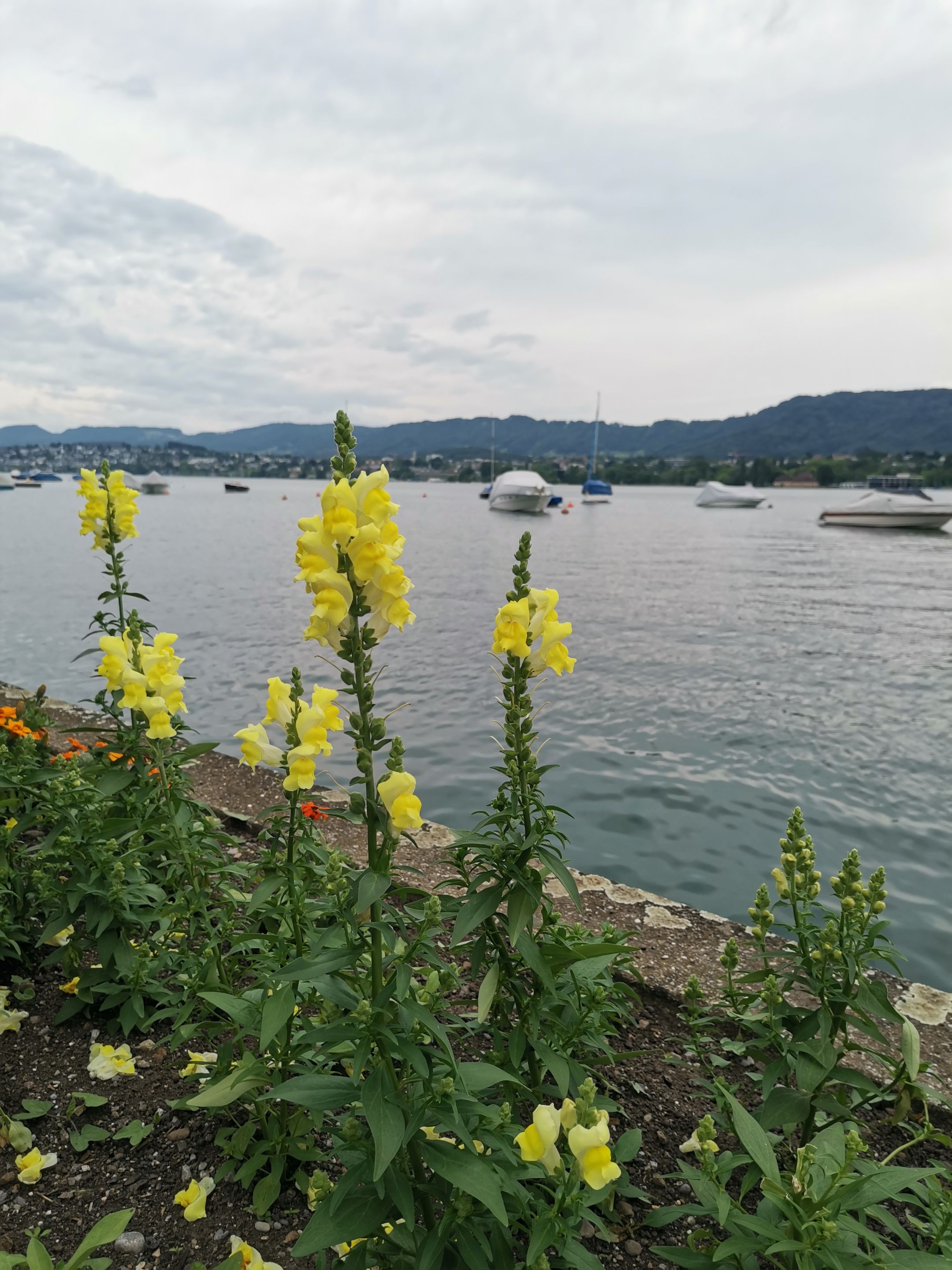 IMG_20250604_161210.jpg
