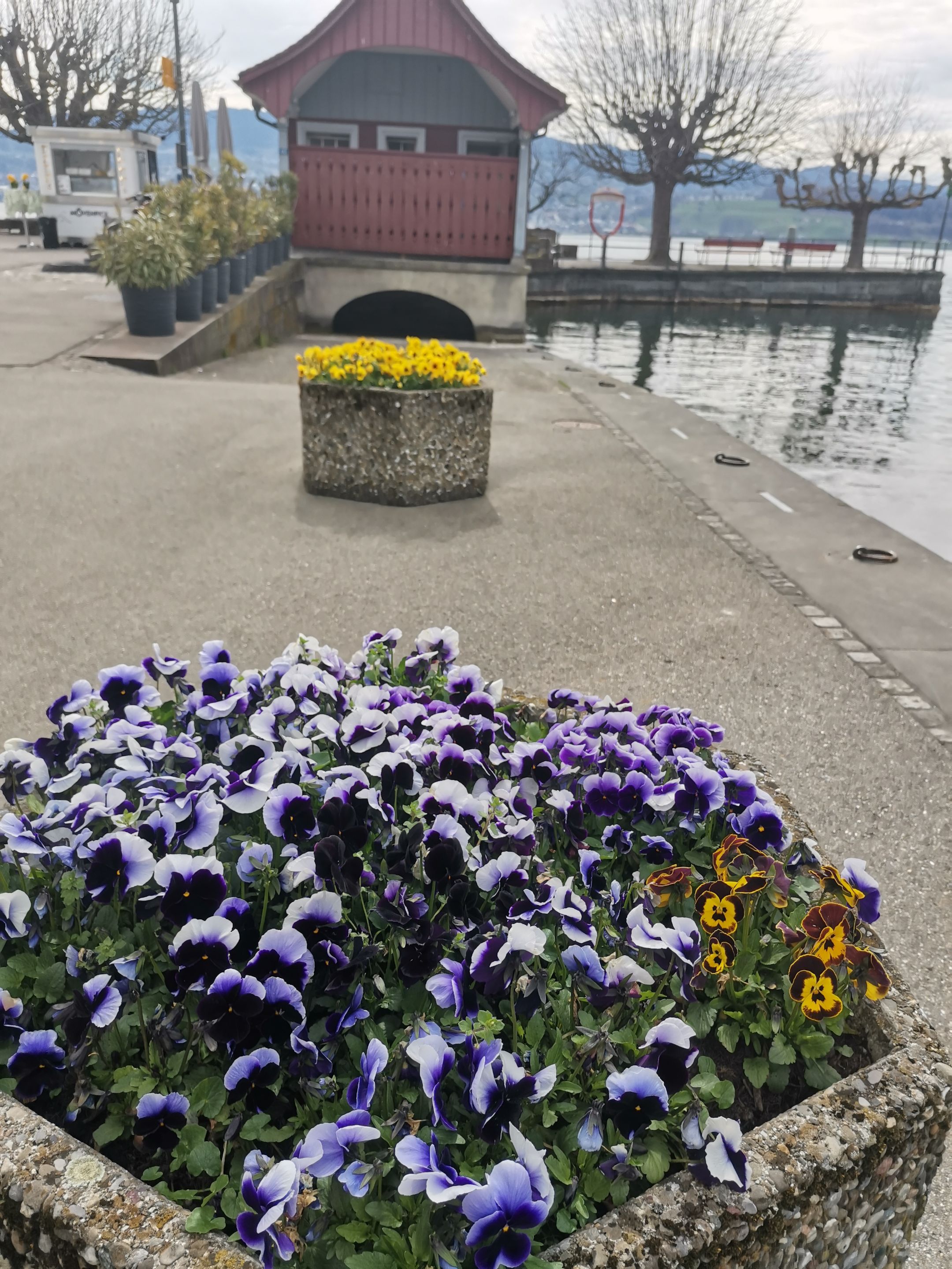 IMG_20230323_131015.jpg