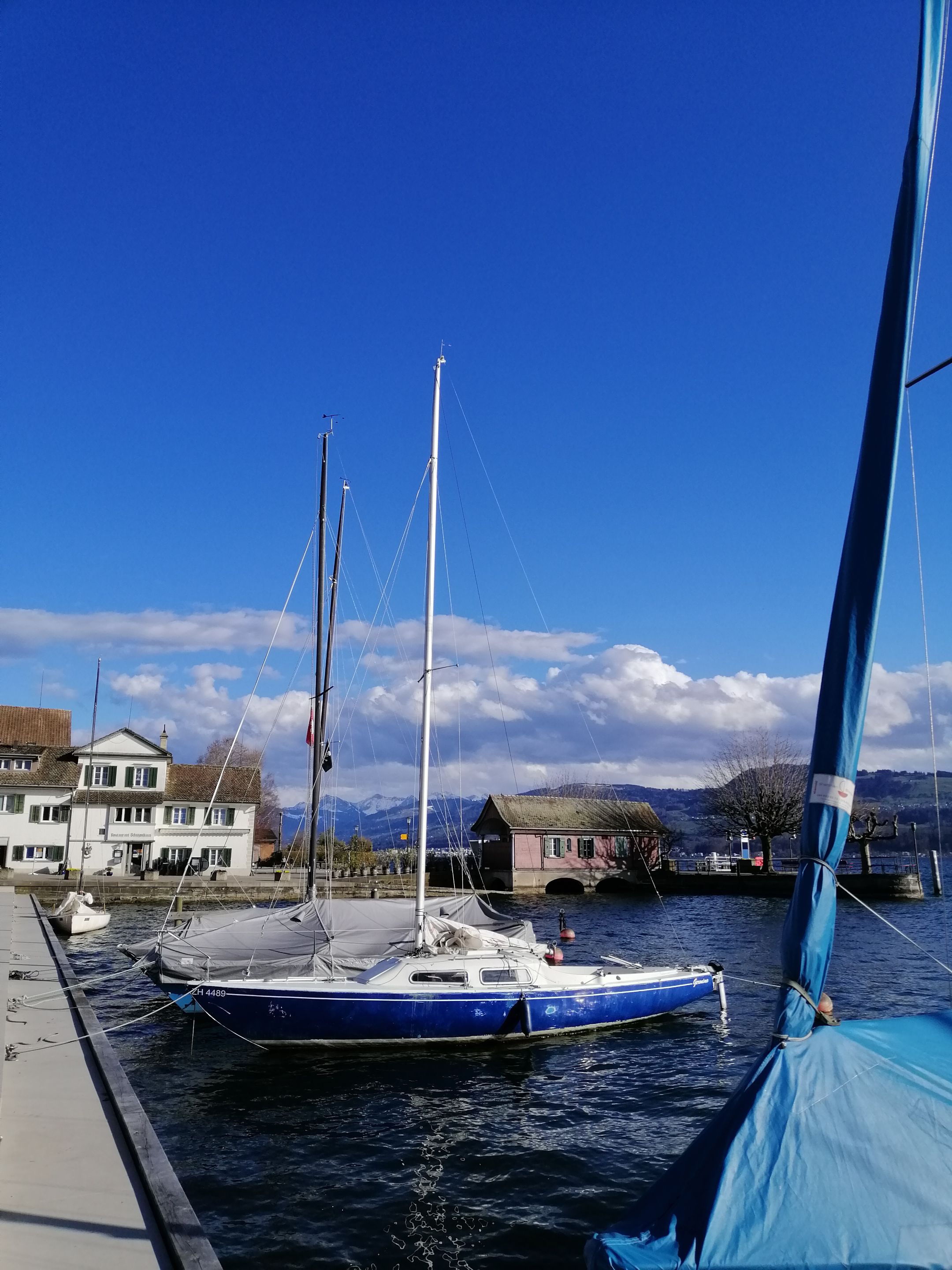 IMG_20210312_161256.jpg