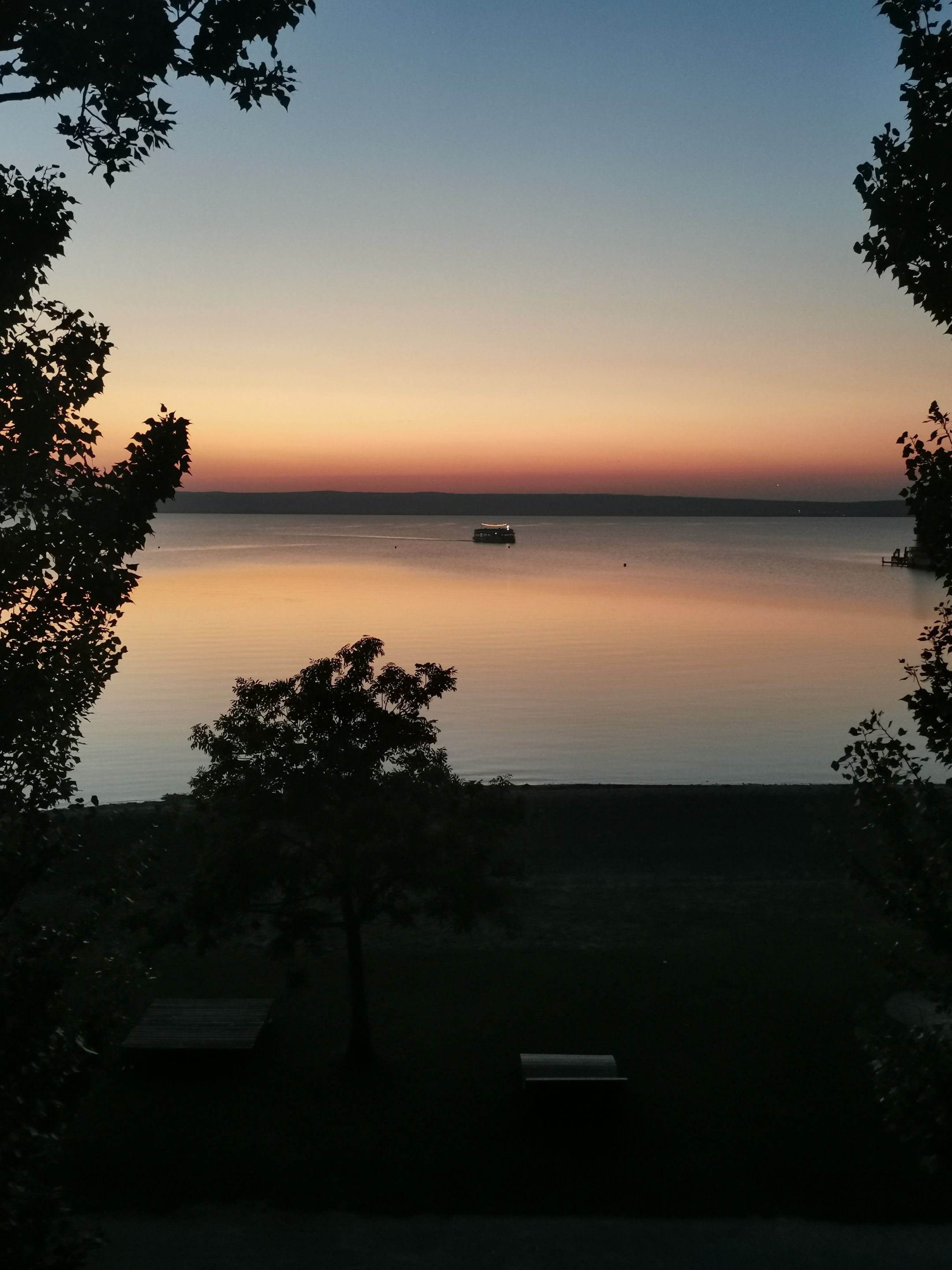 IMG_20250813_203509.jpg
