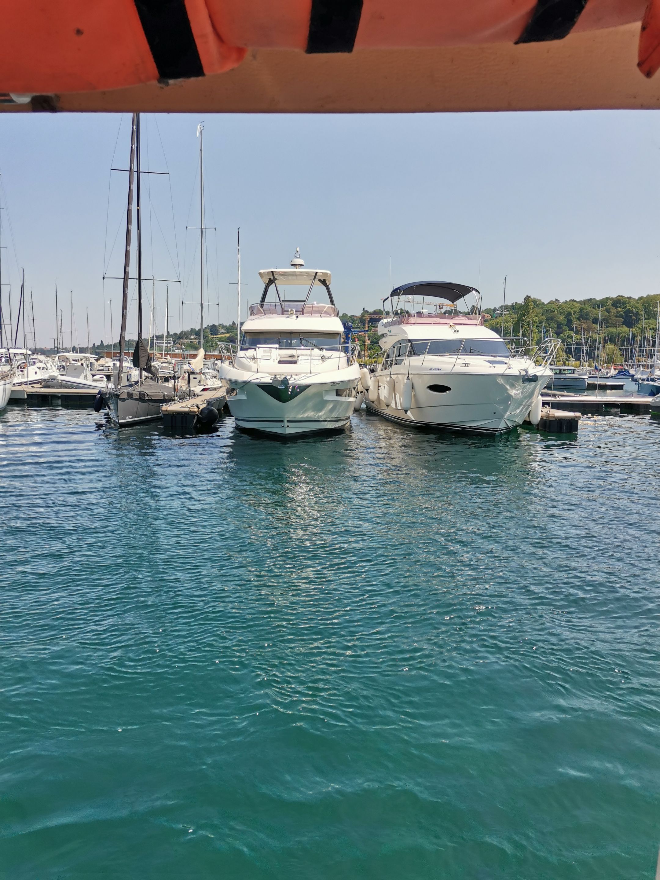 IMG_20250617_124805.jpg