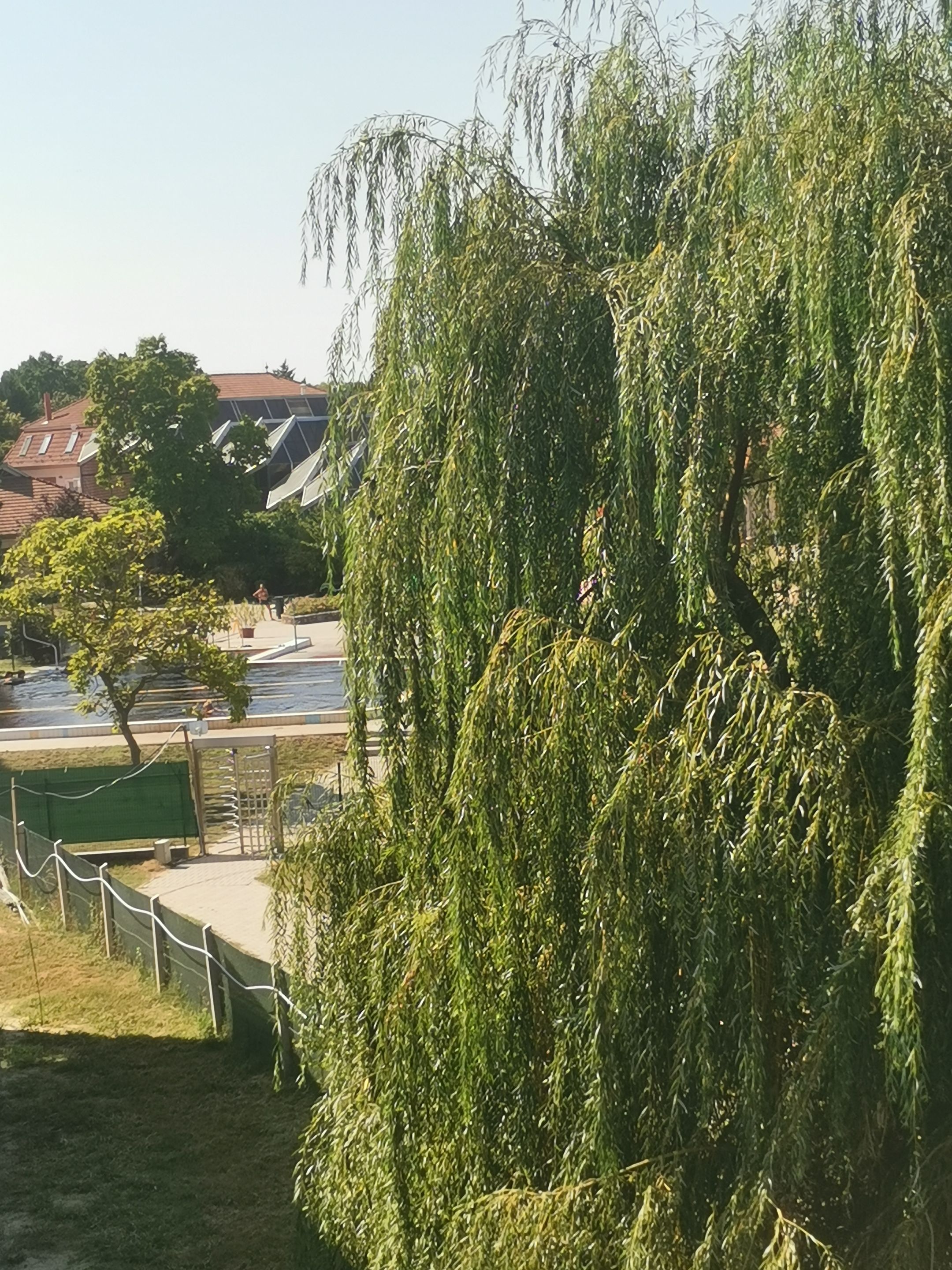 IMG_20250815_102358.jpg