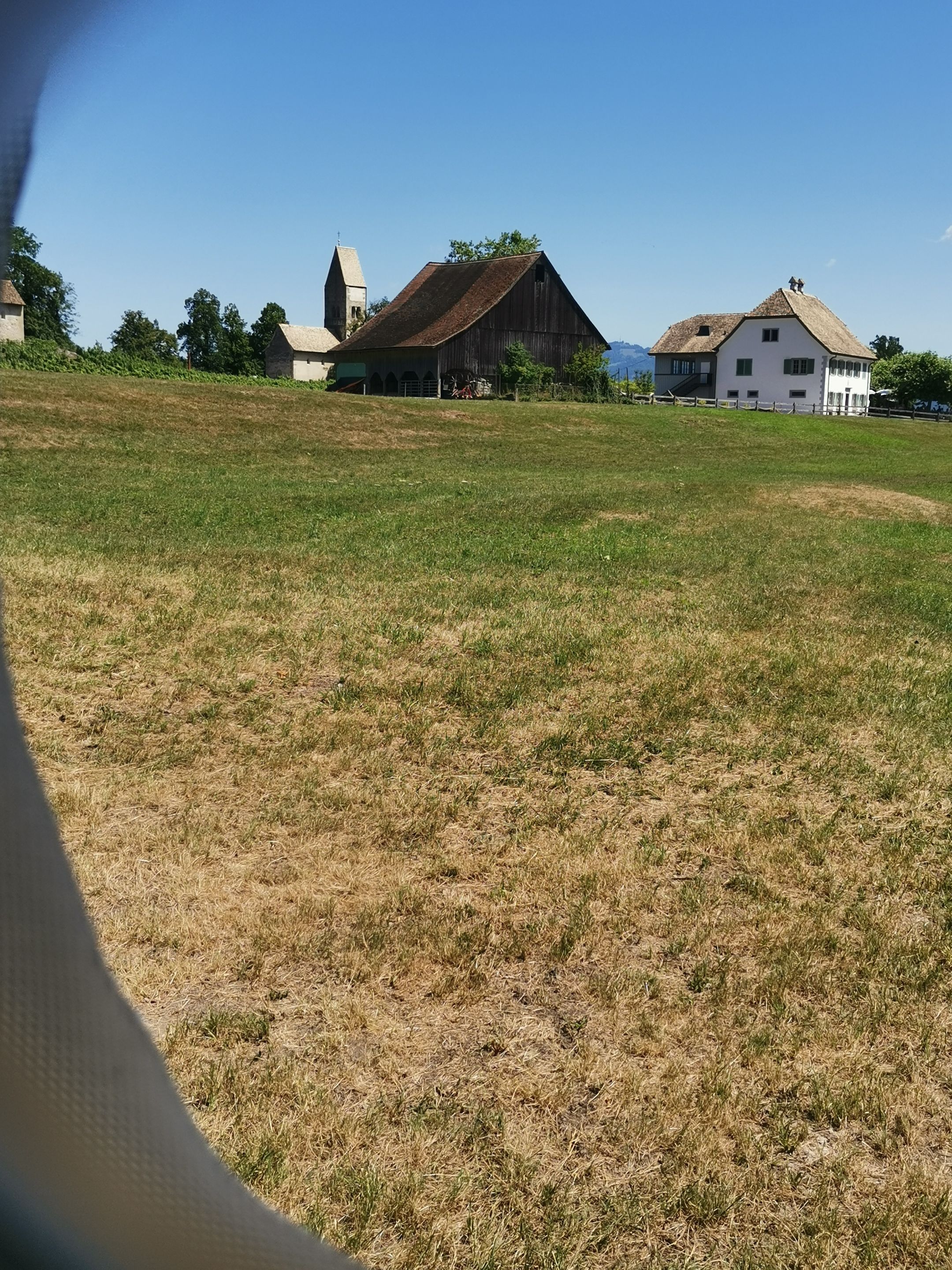 IMG_20230707_120601.jpg