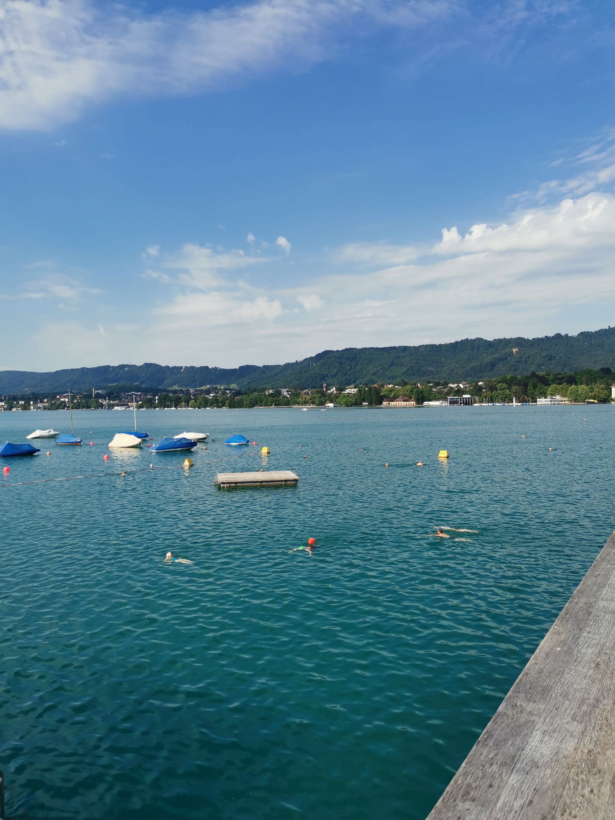 IMG_20250703_090854.jpg