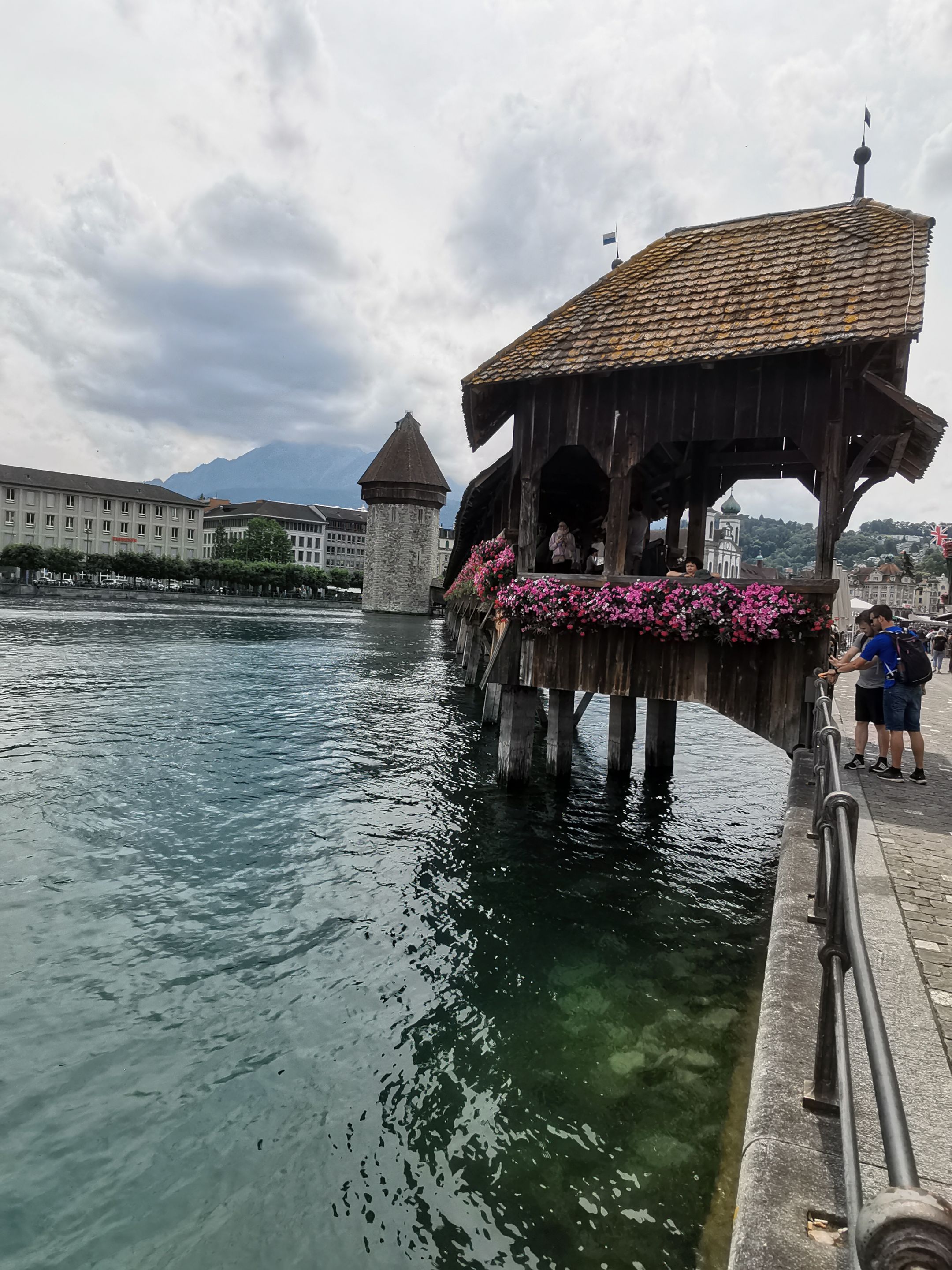 IMG_20230627_151547.jpg