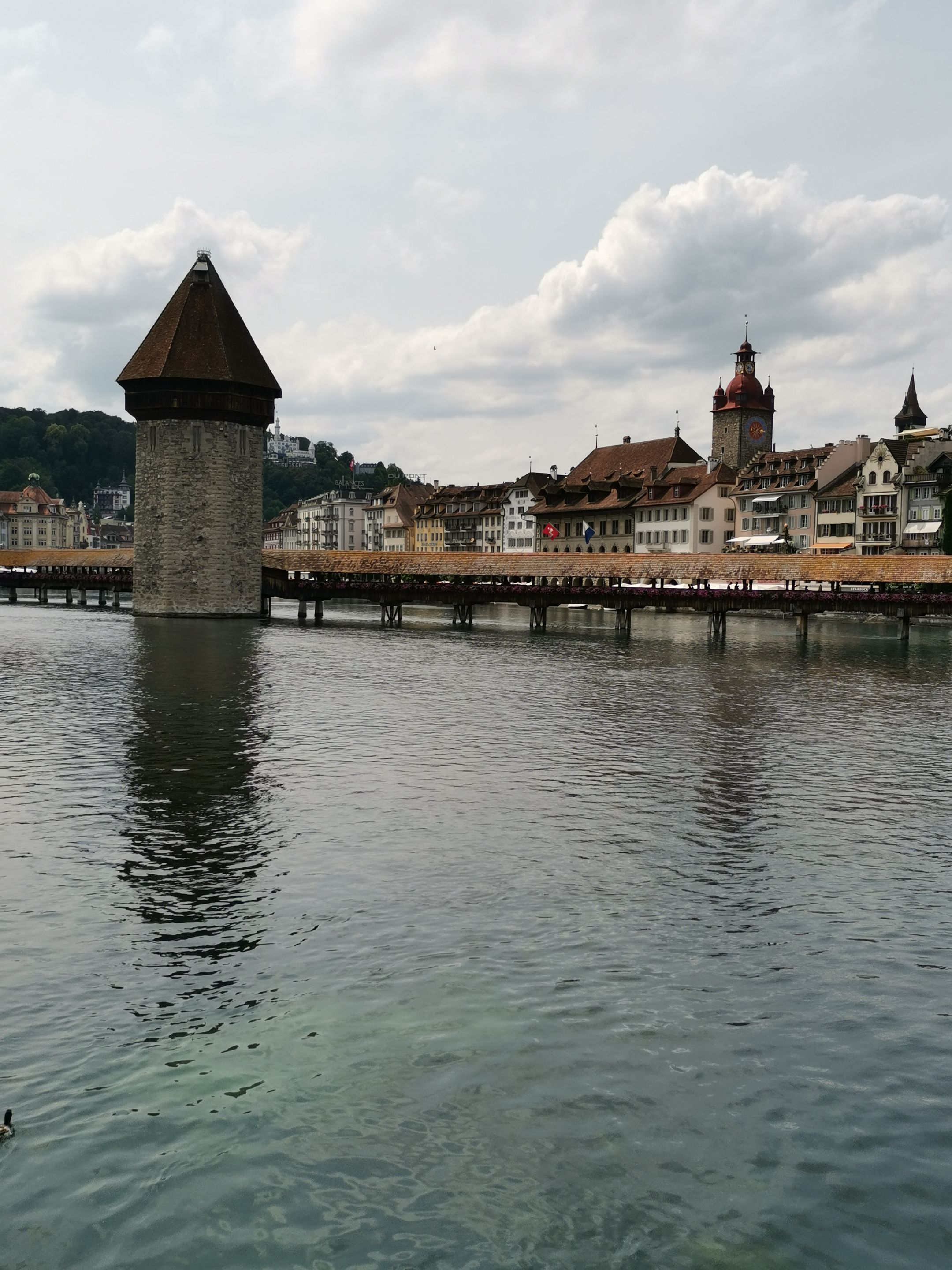 IMG_20230627_152140.jpg