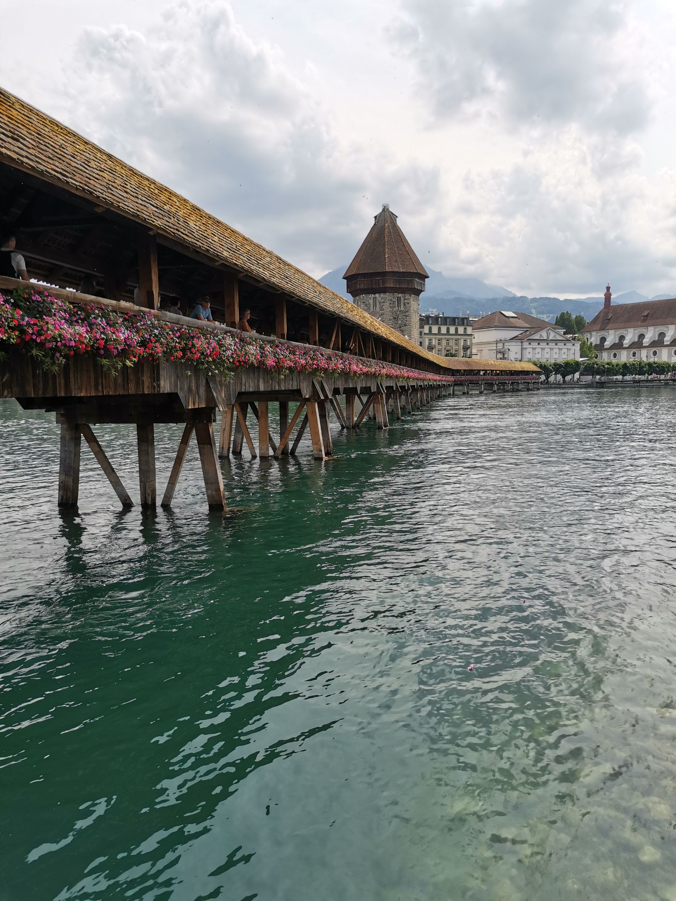 IMG_20230627_151833.jpg