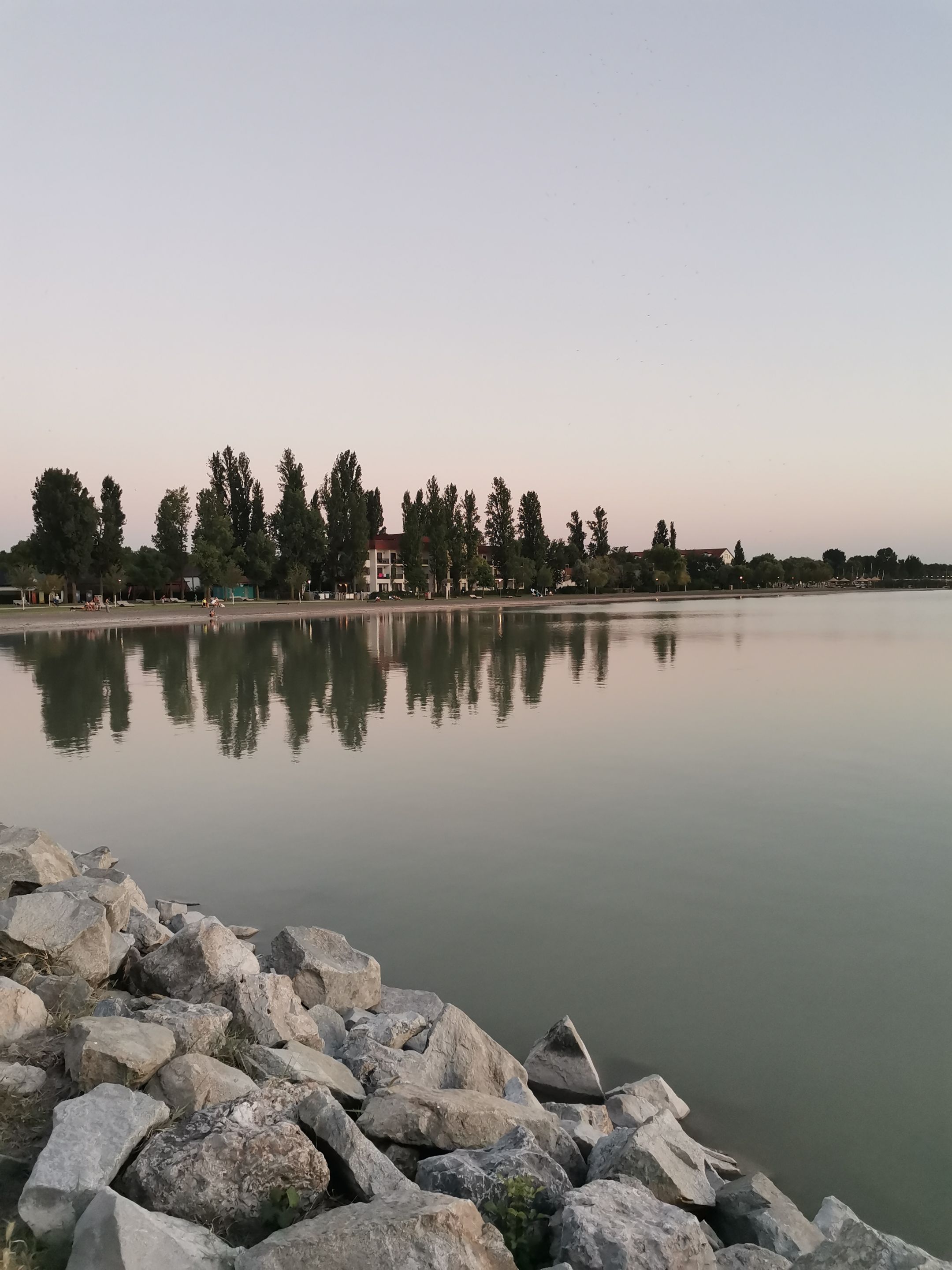 IMG_20250812_201323.jpg