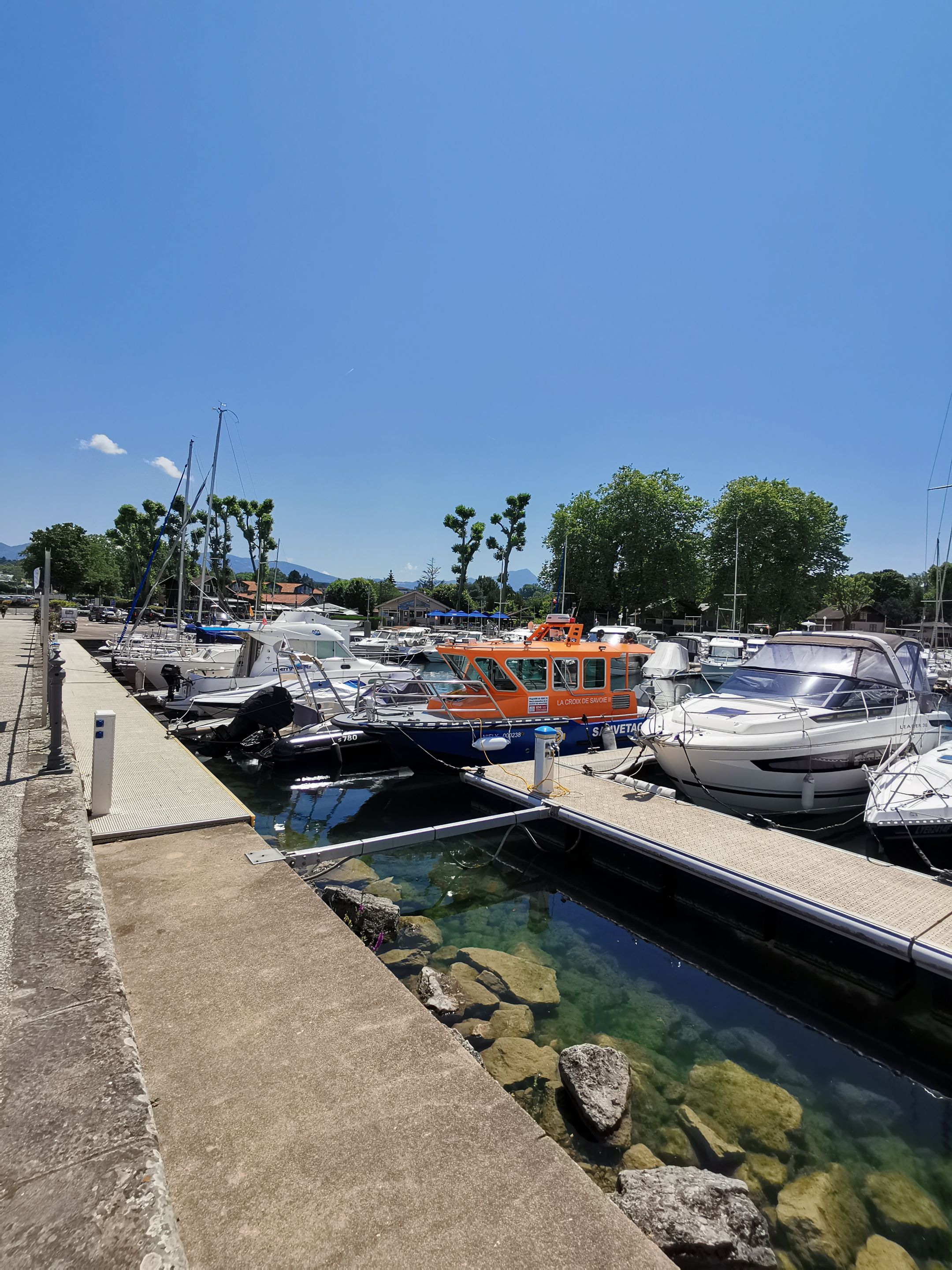 IMG_20250621_142650.jpg