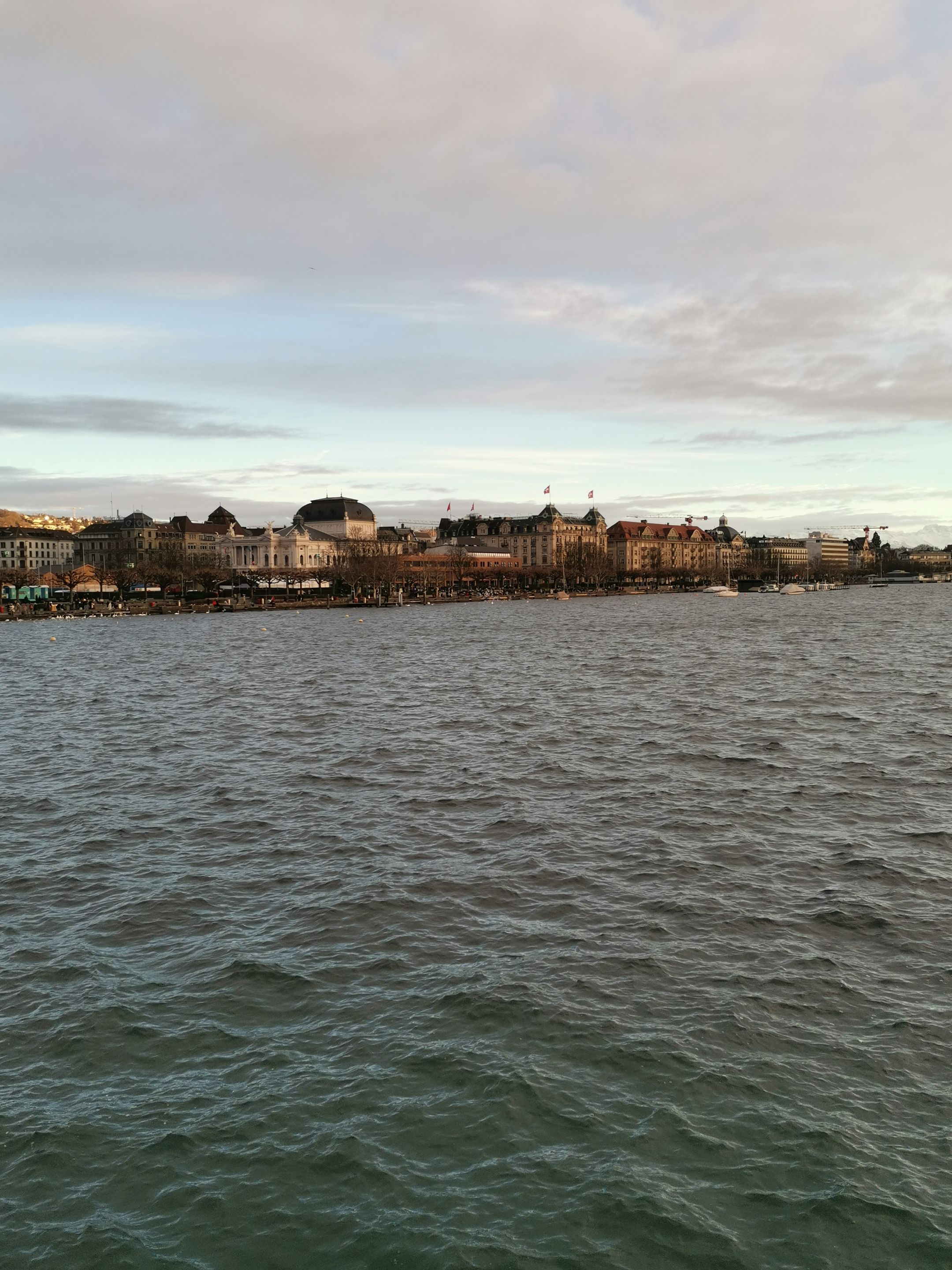IMG_20241221_160742.jpg