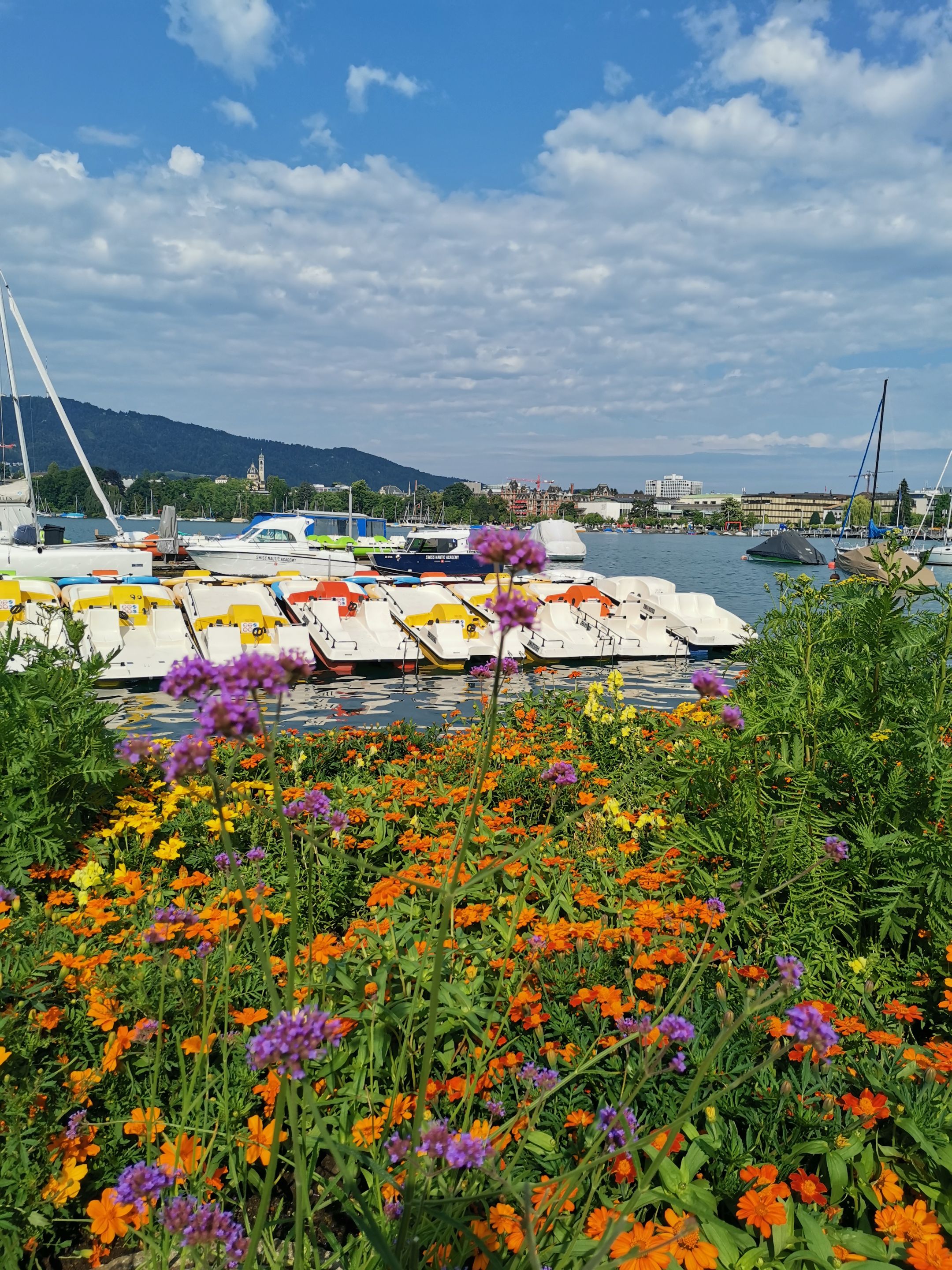 IMG_20250703_093706.jpg