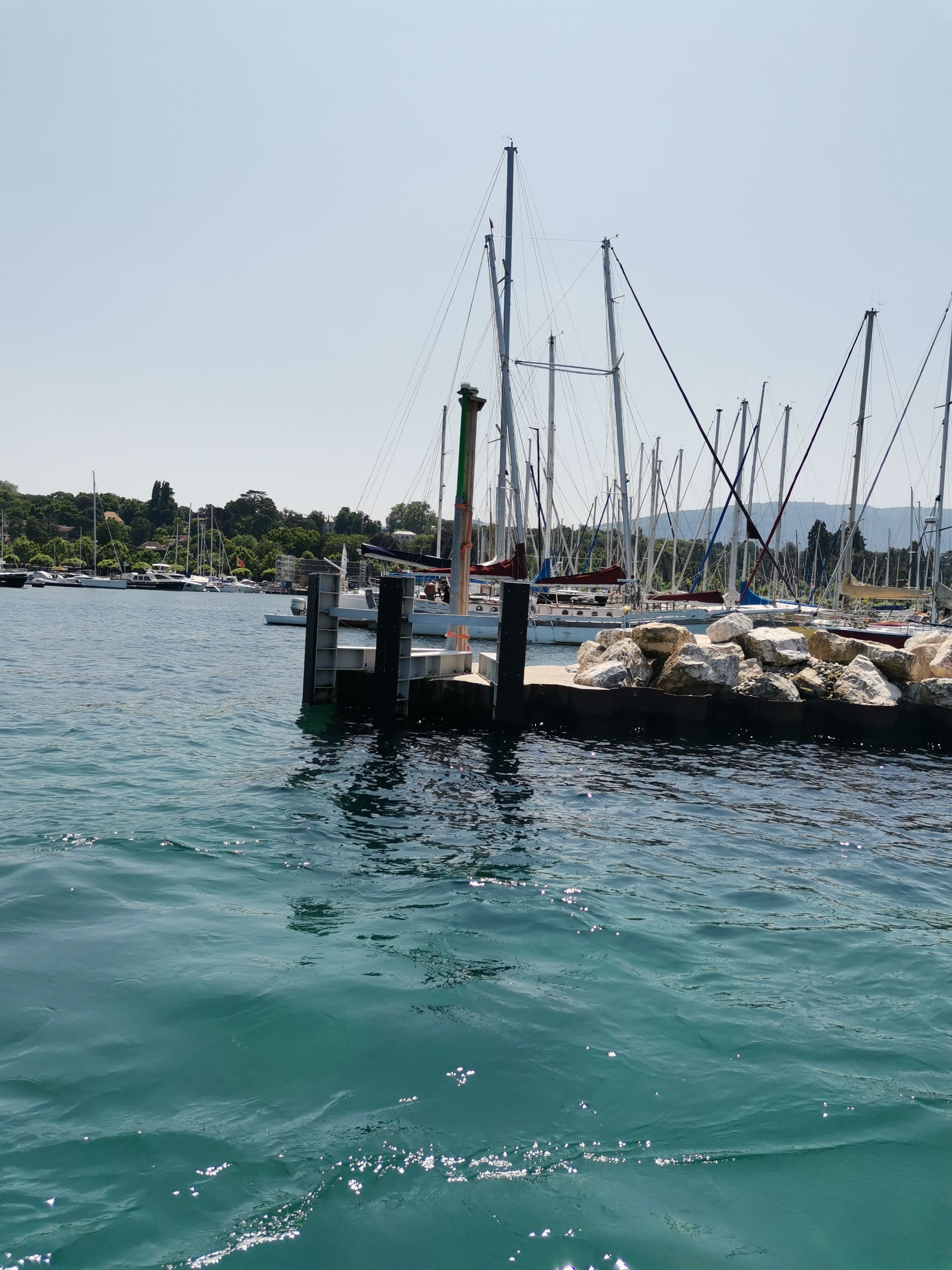IMG_20250617_124845.jpg