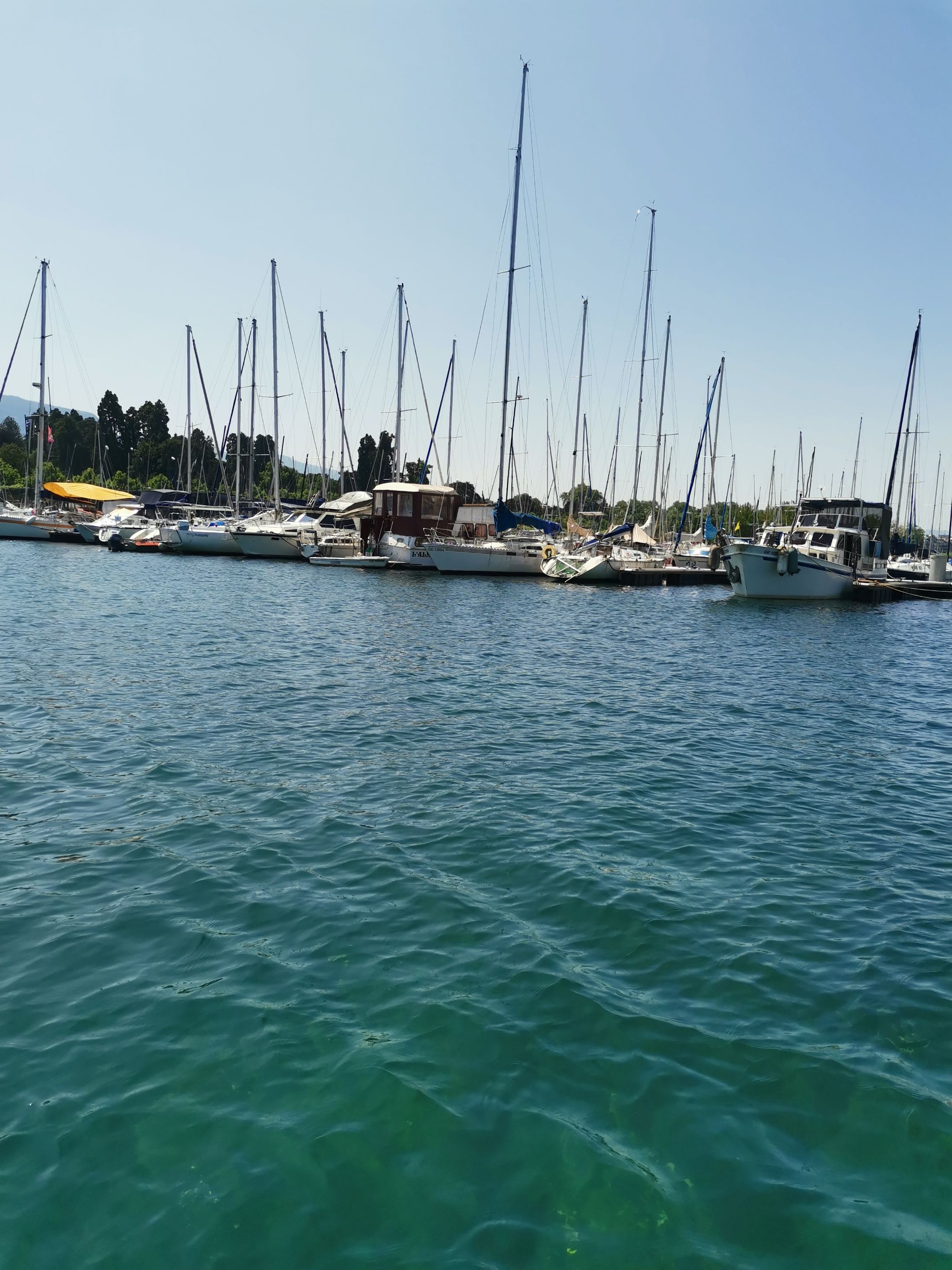 IMG_20250617_124755.jpg