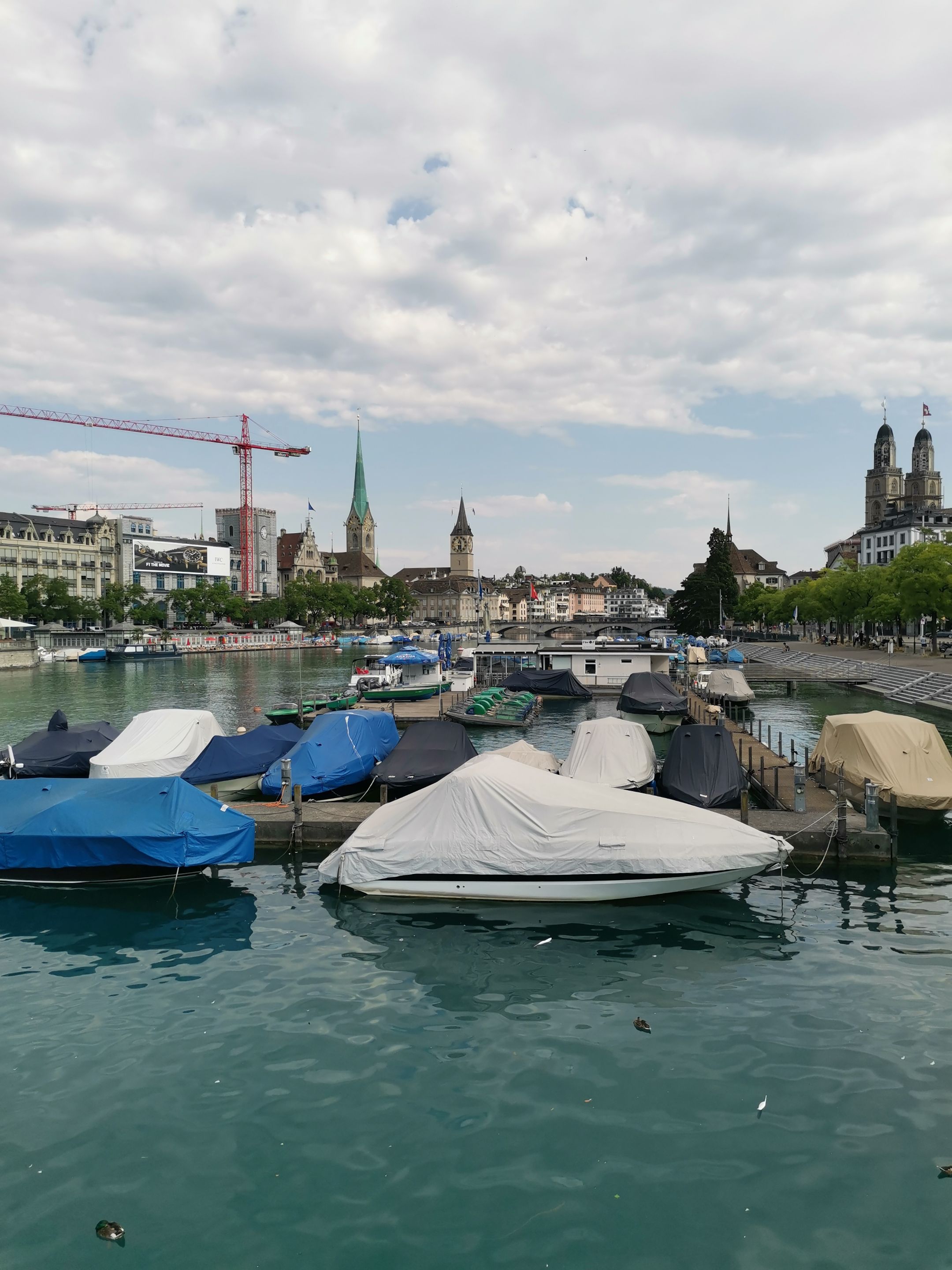 IMG_20250703_094351.jpg
