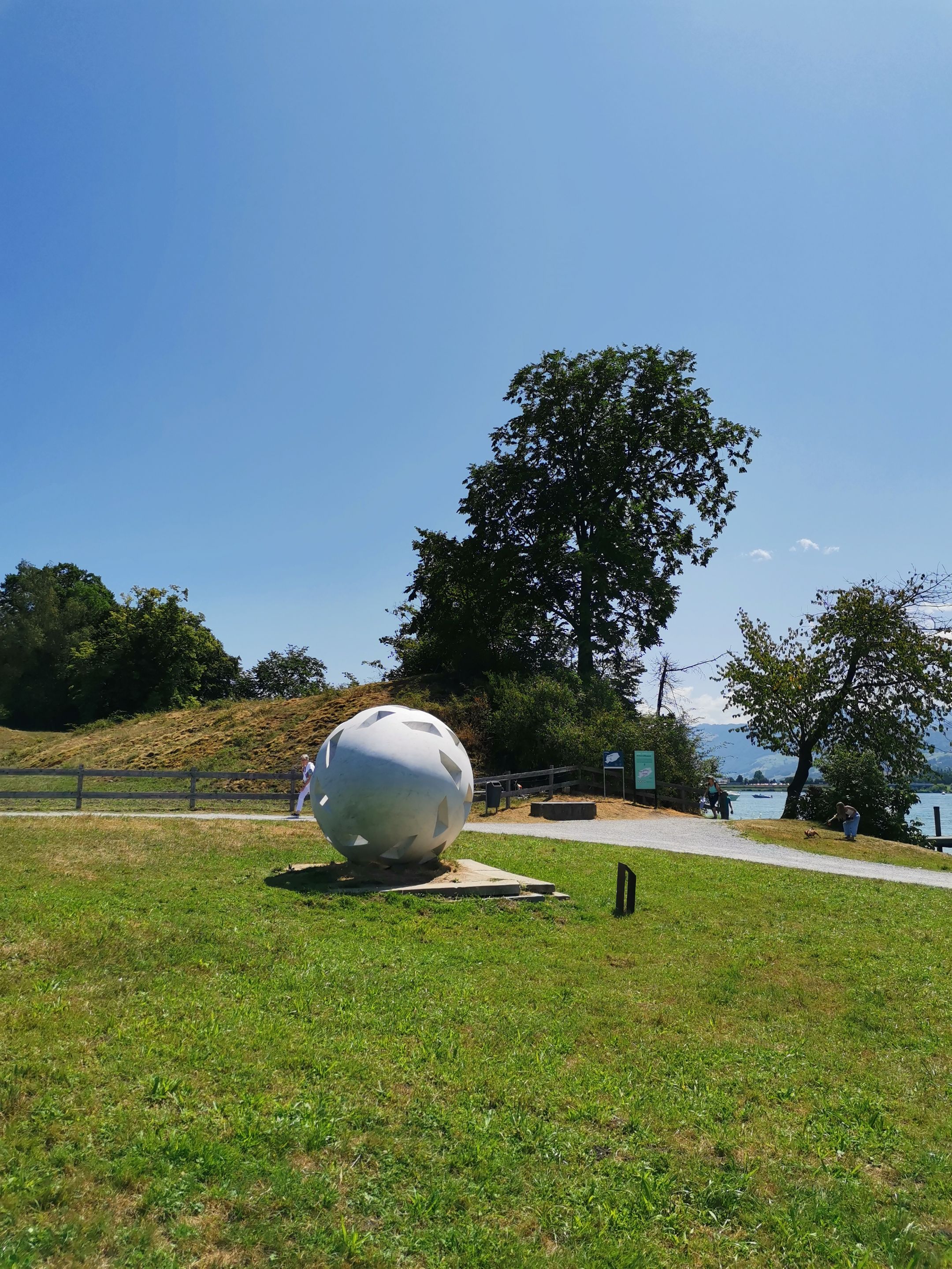 IMG_20230707_121049.jpg