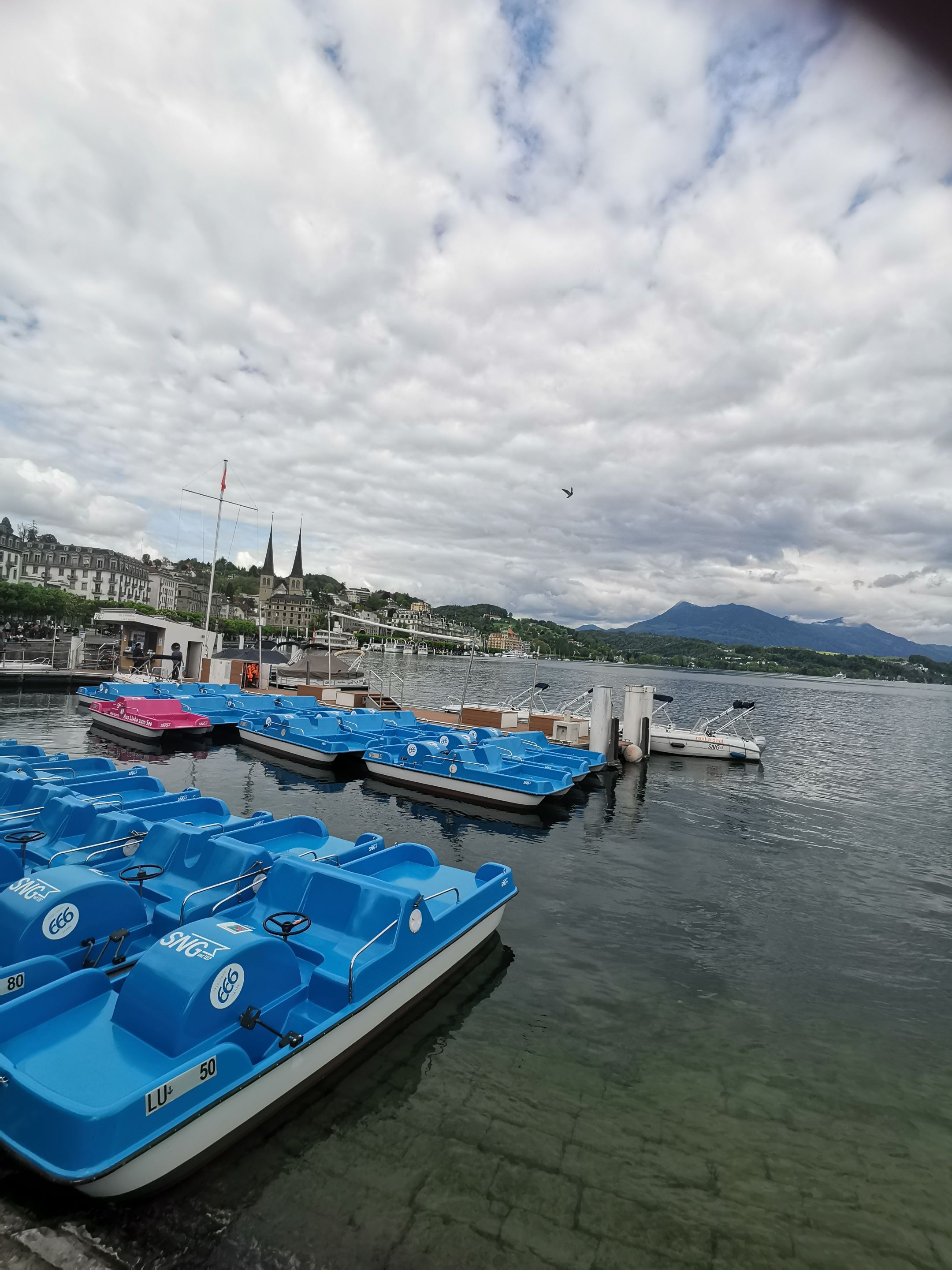 IMG_20230512_164230.jpg