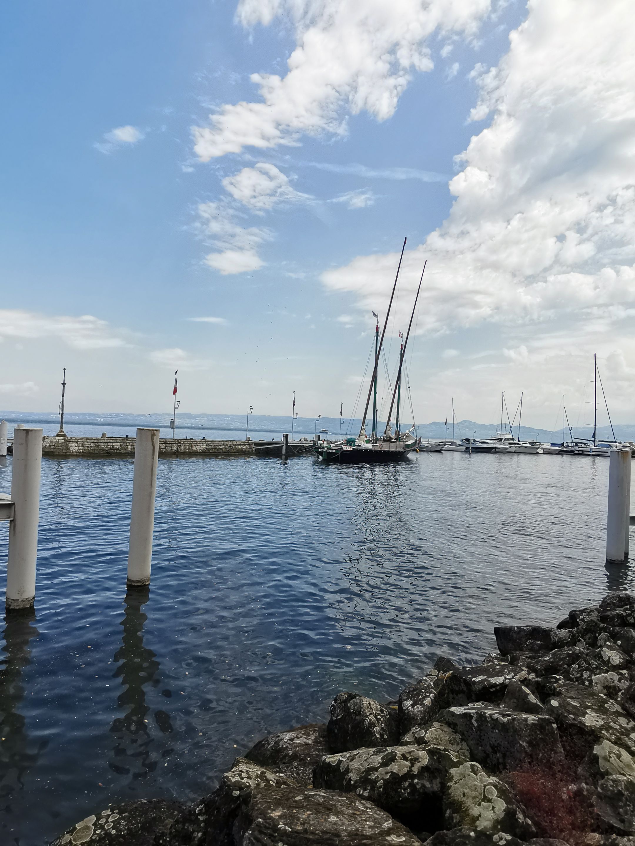 IMG_20250623_115011.jpg