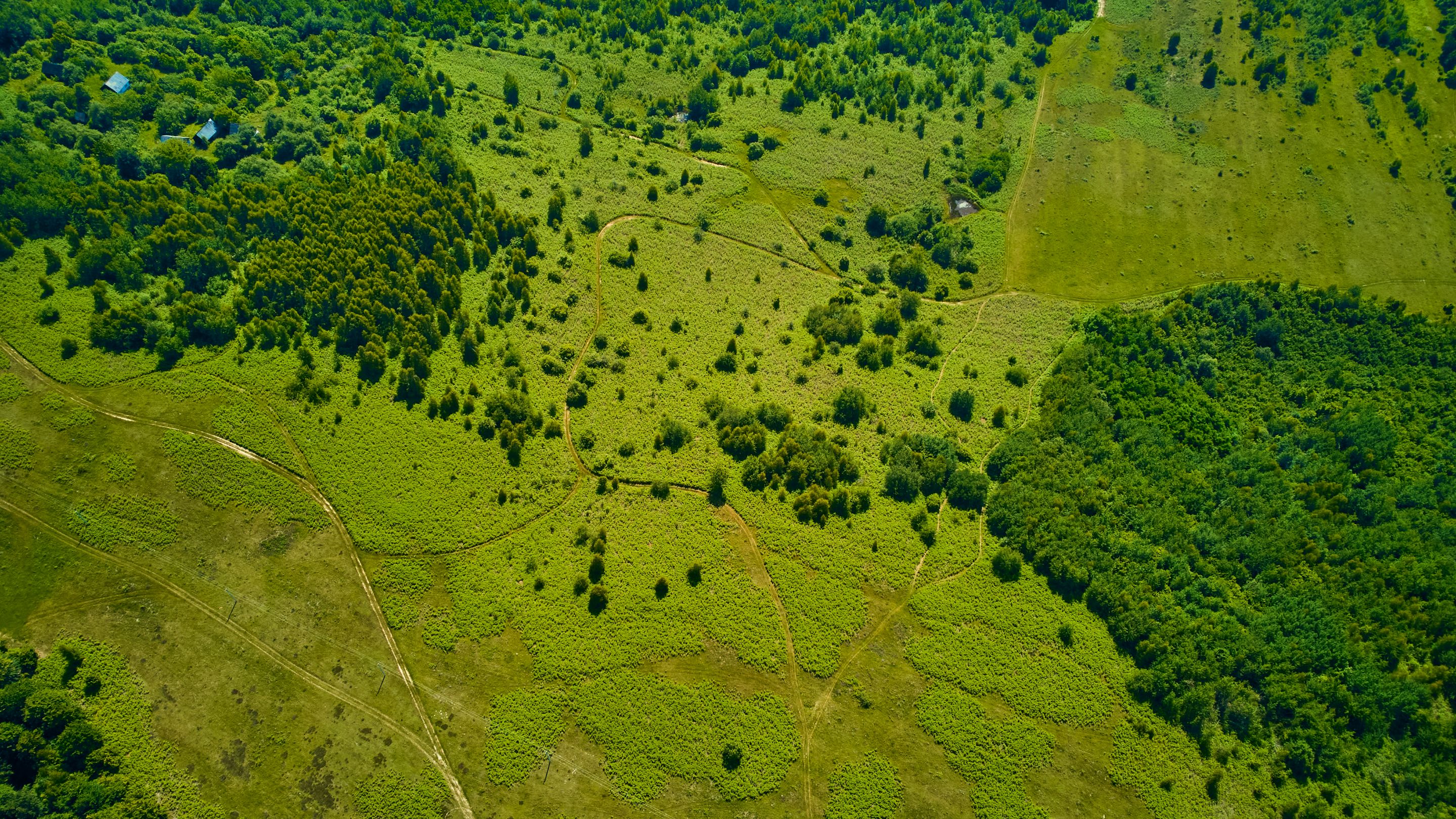DJI_0018.jpg