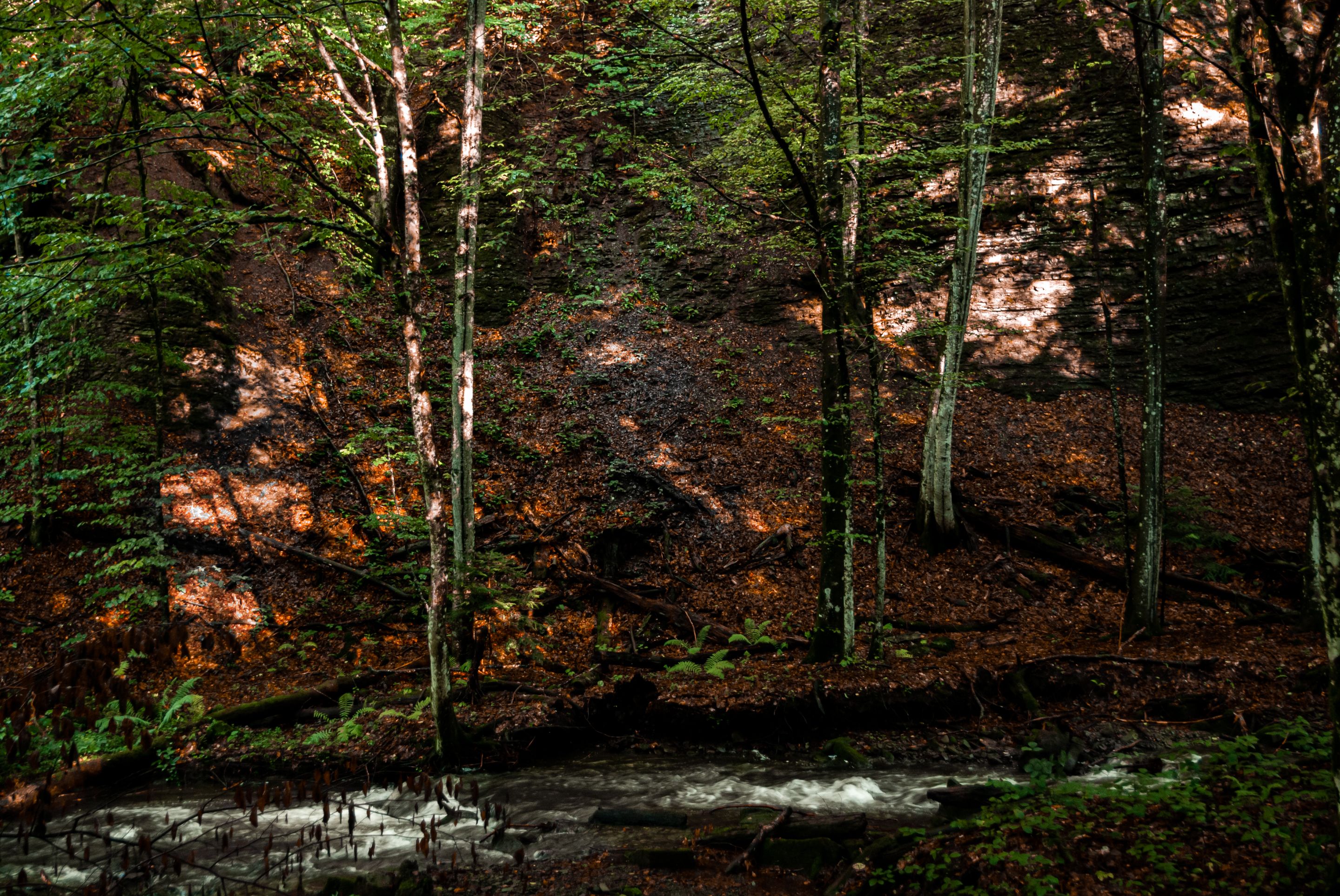 DSC_7166.jpg