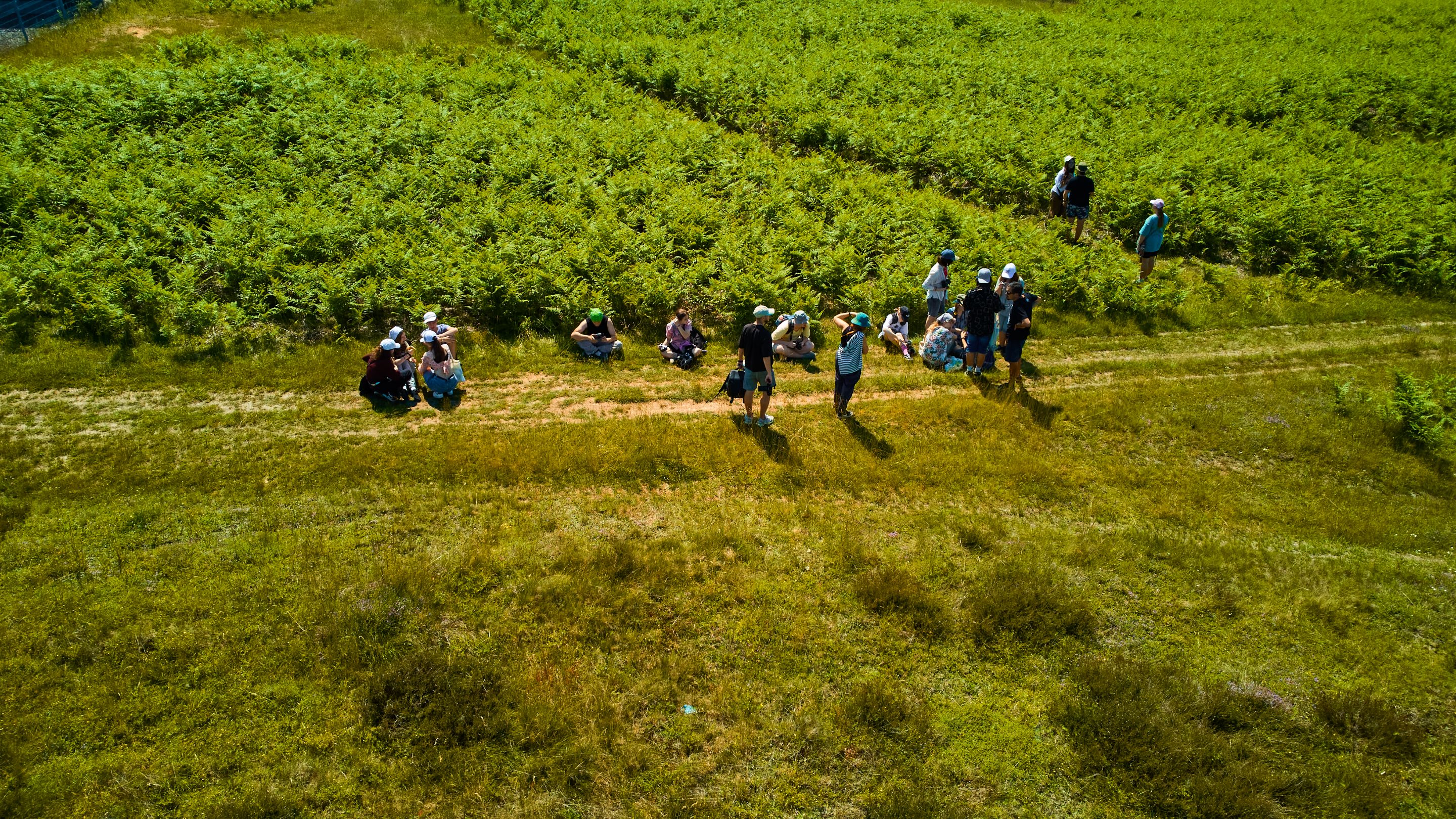 DJI_0019.jpg