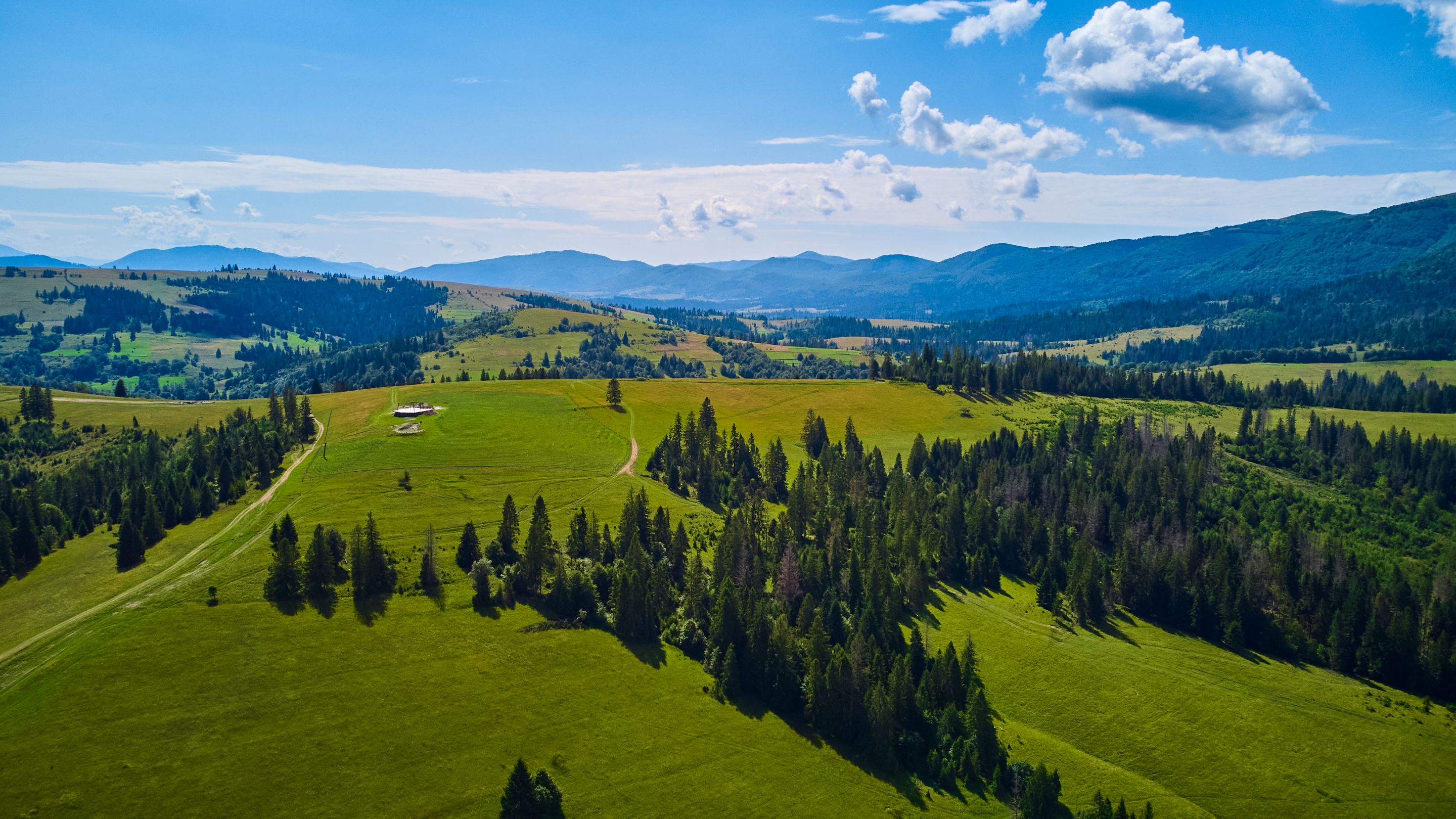 DJI_0531.jpg
