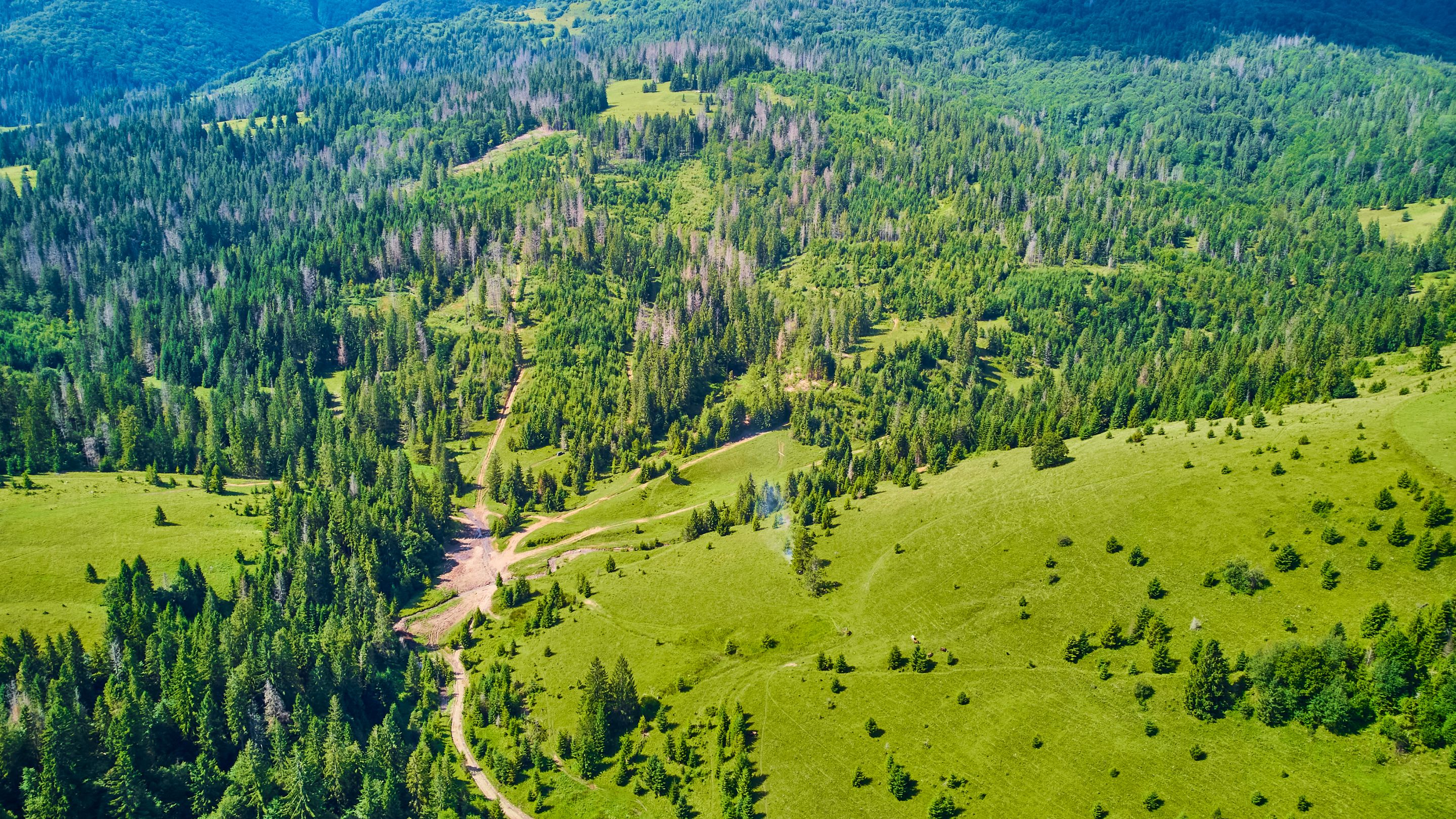 DJI_0529.jpg