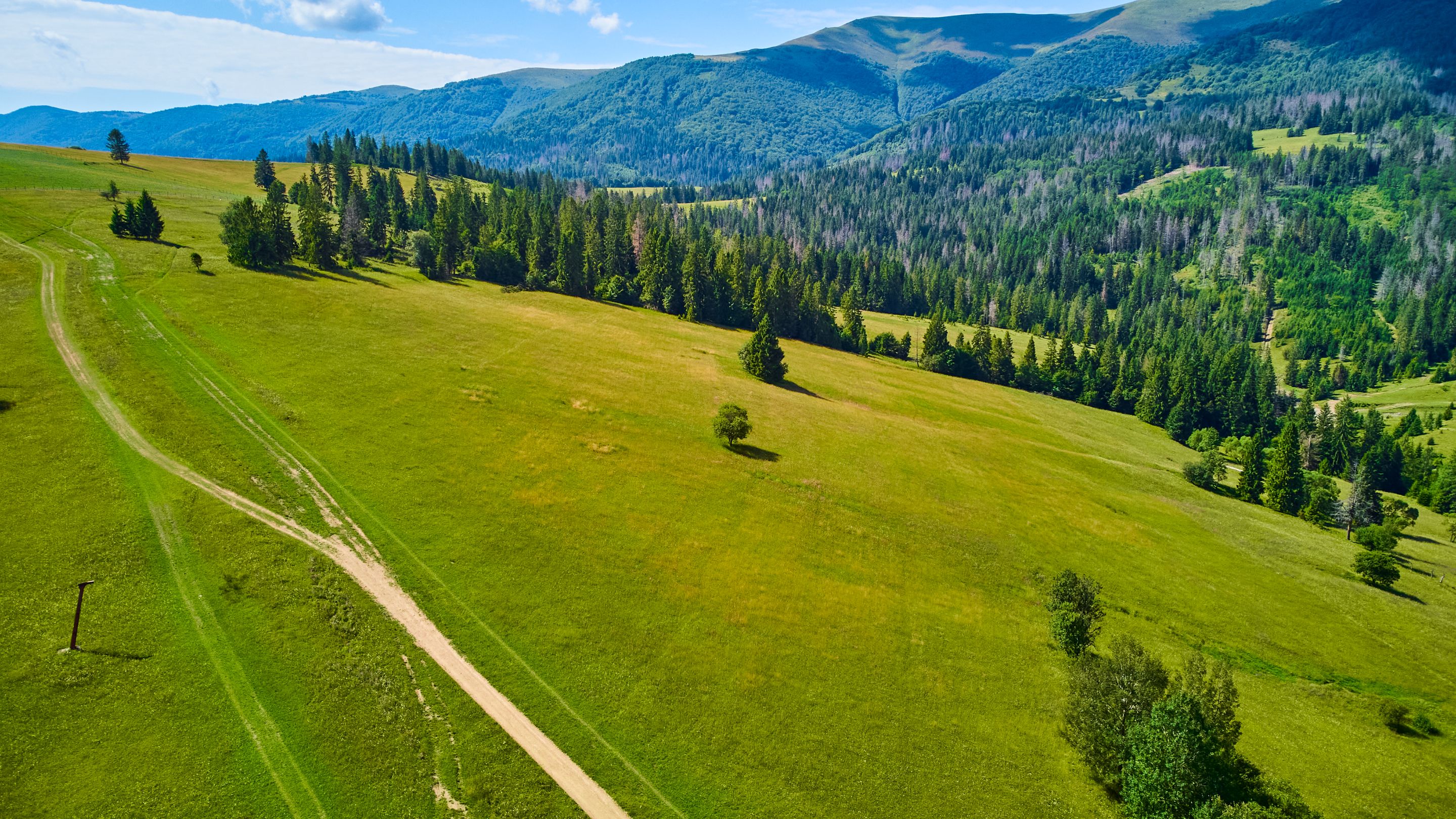 DJI_0509.jpg