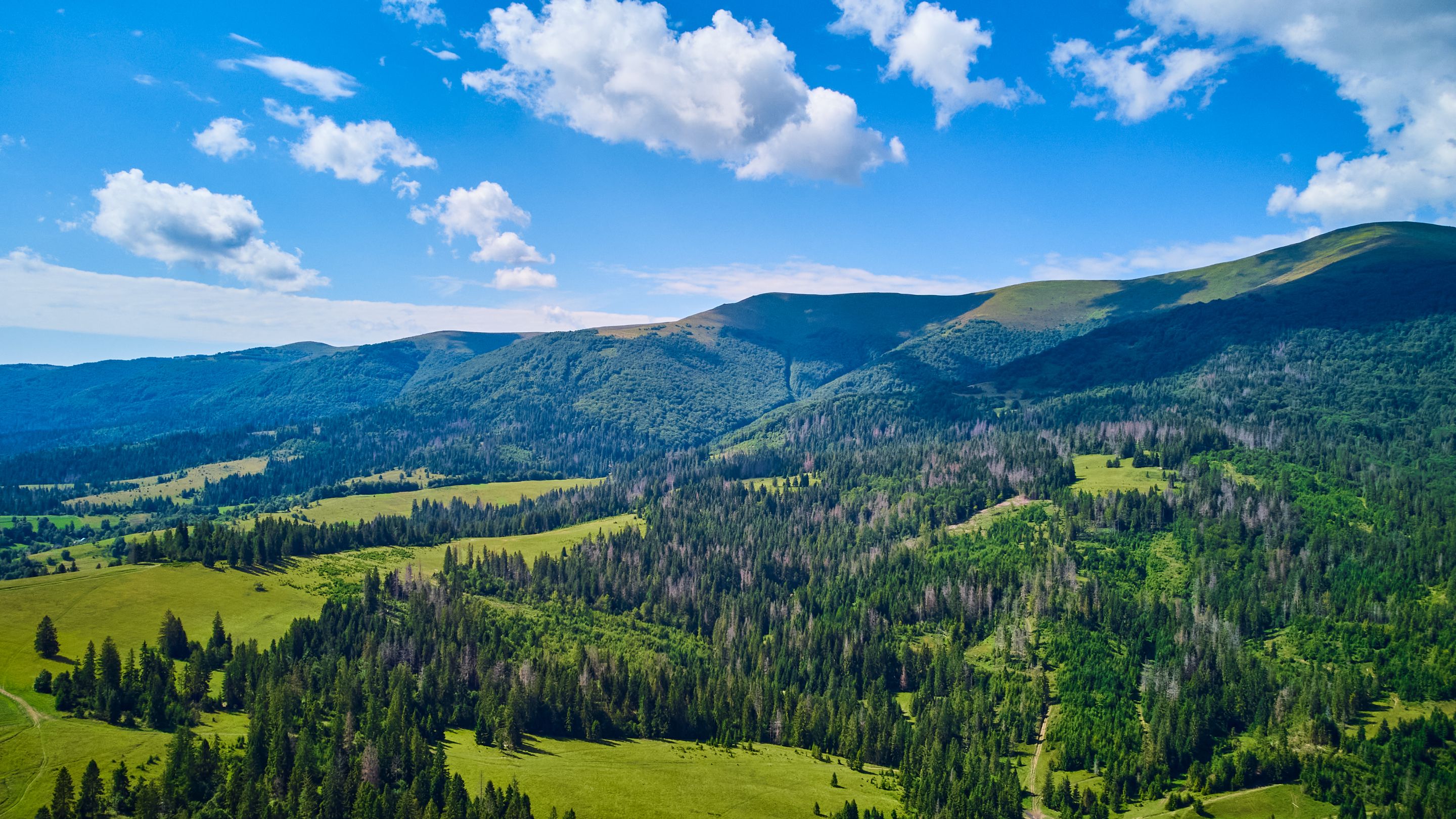 DJI_0515.jpg