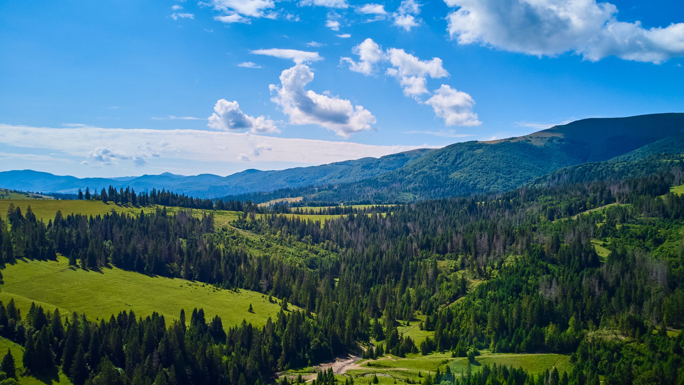 DJI_0520.jpg