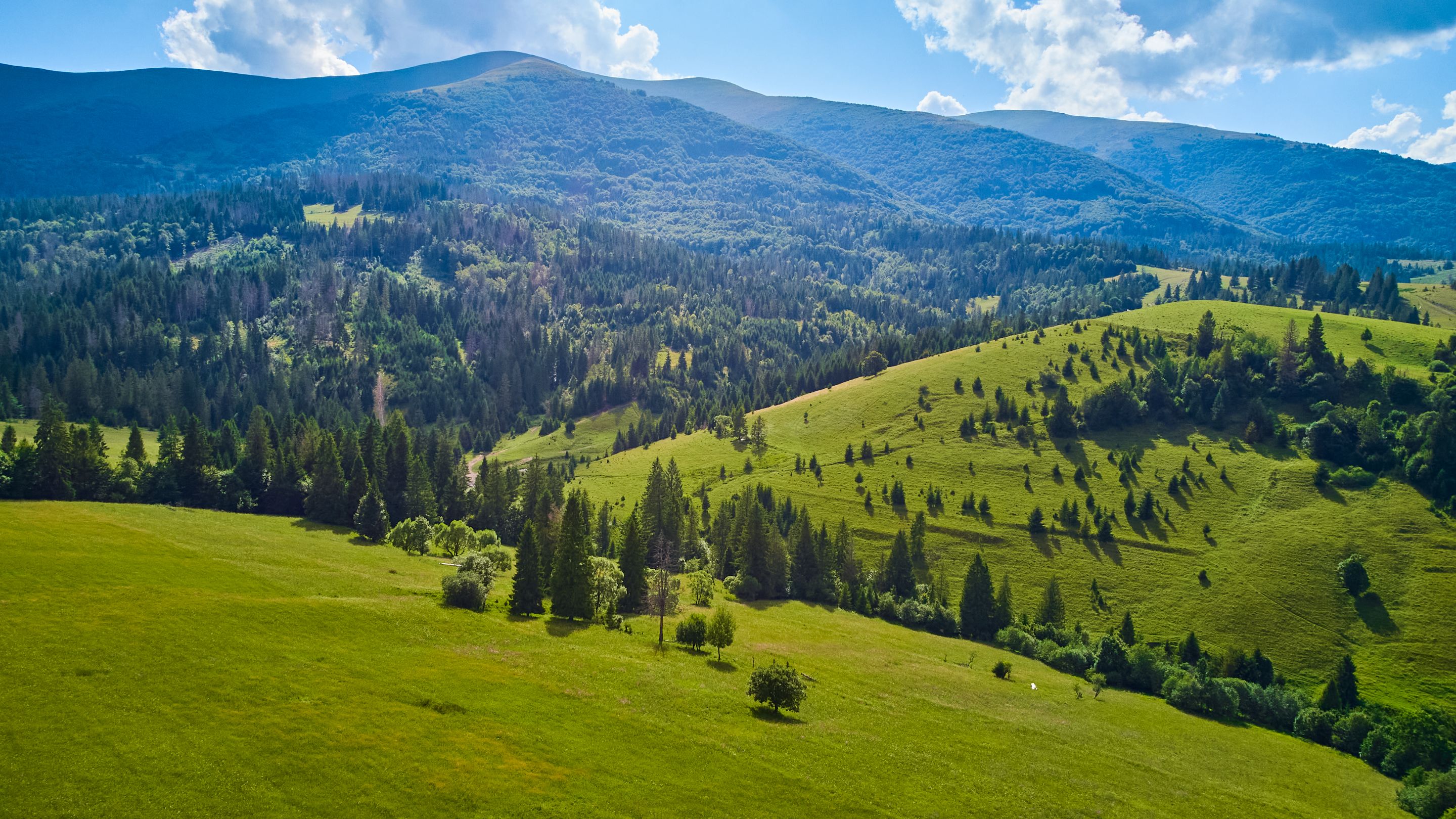 DJI_0542.jpg
