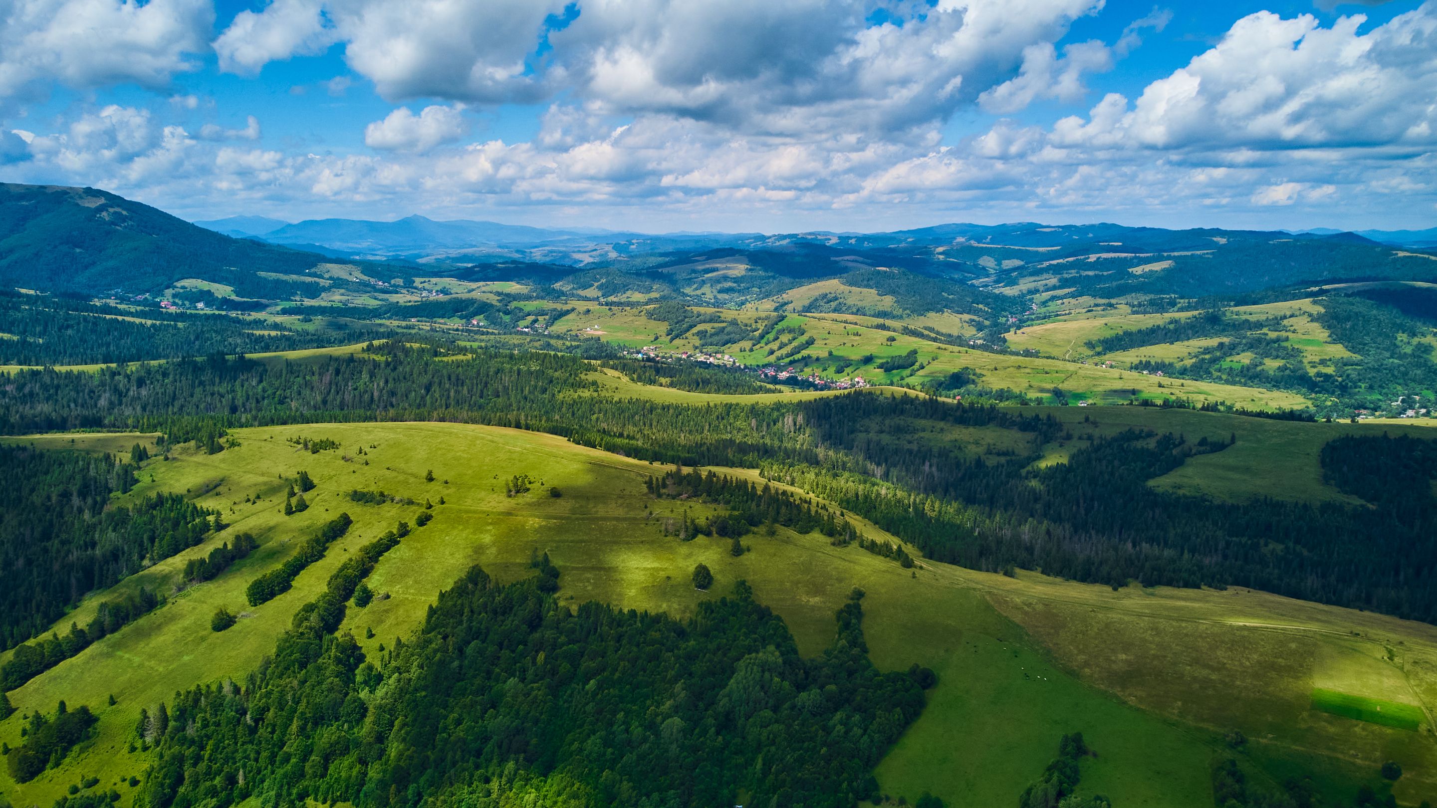 DJI_0603.jpg