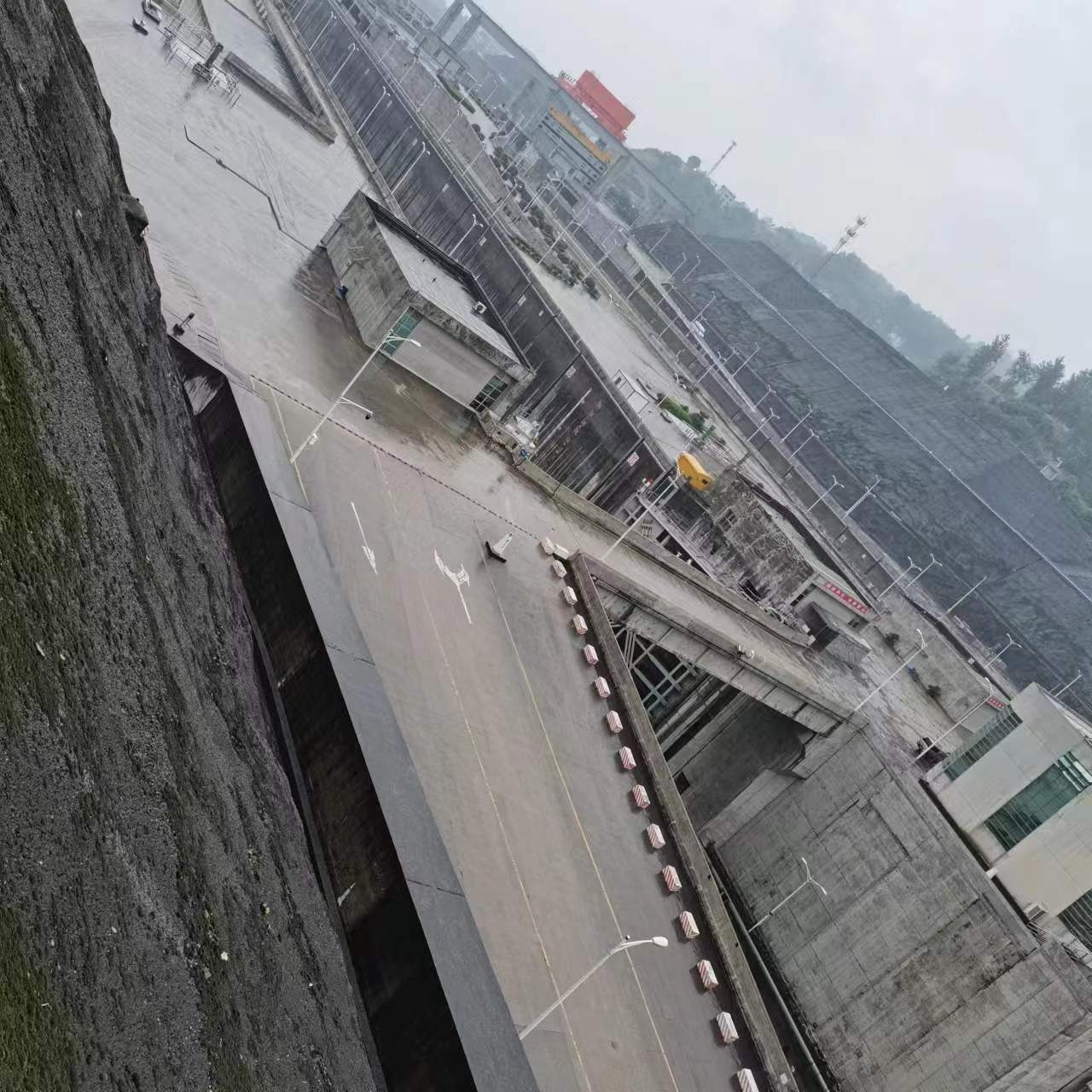 t2.jpg